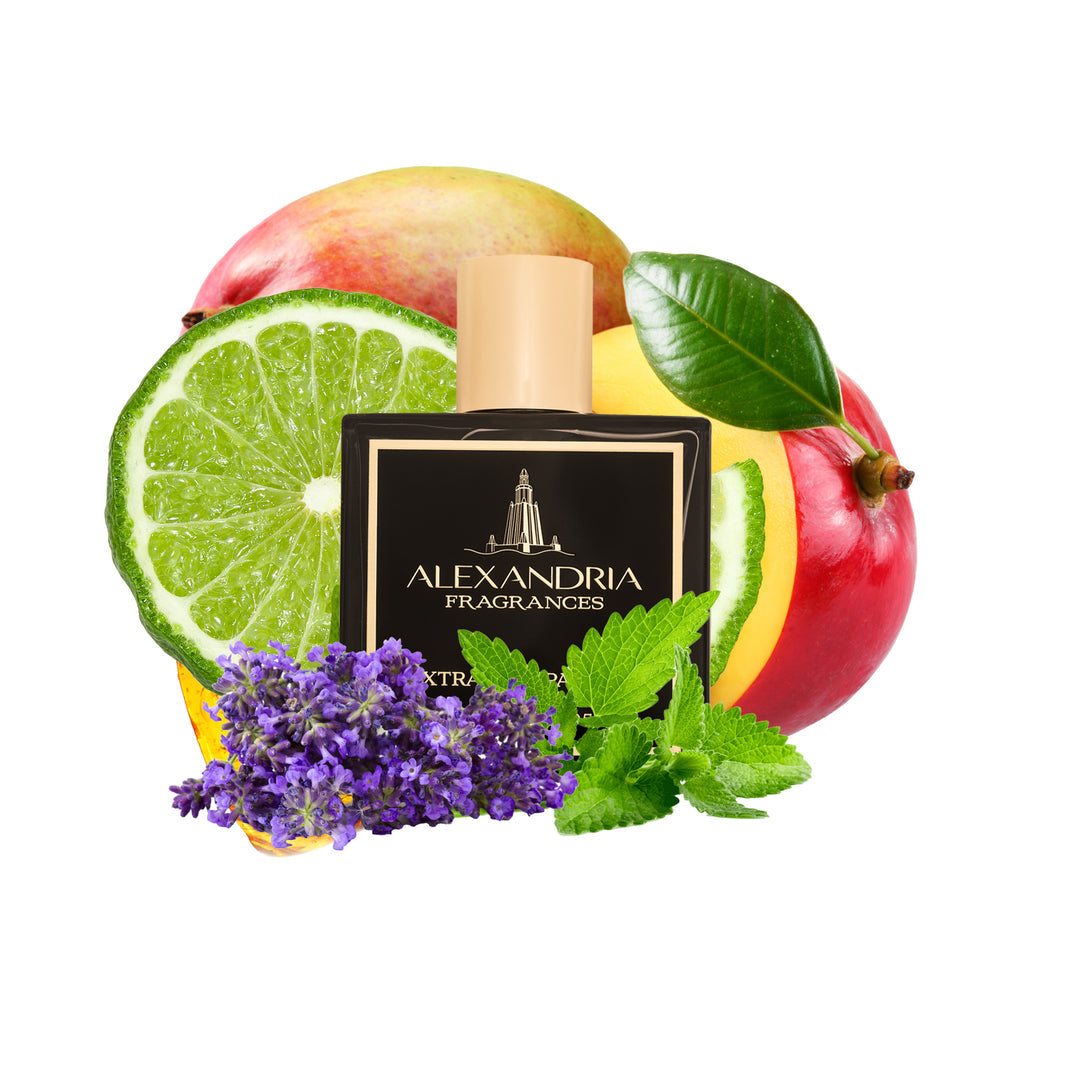 Dive Into Customer Reviews The Buzz on Luxury Perfume Clones