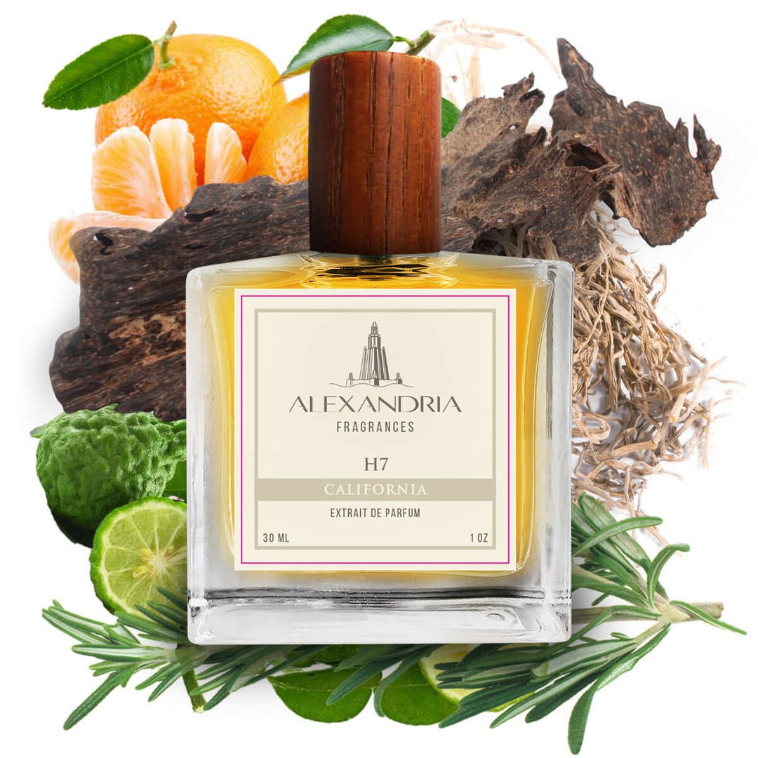 Explore the Latest Trends in Dupe Perfume Market - AlexandriaUK