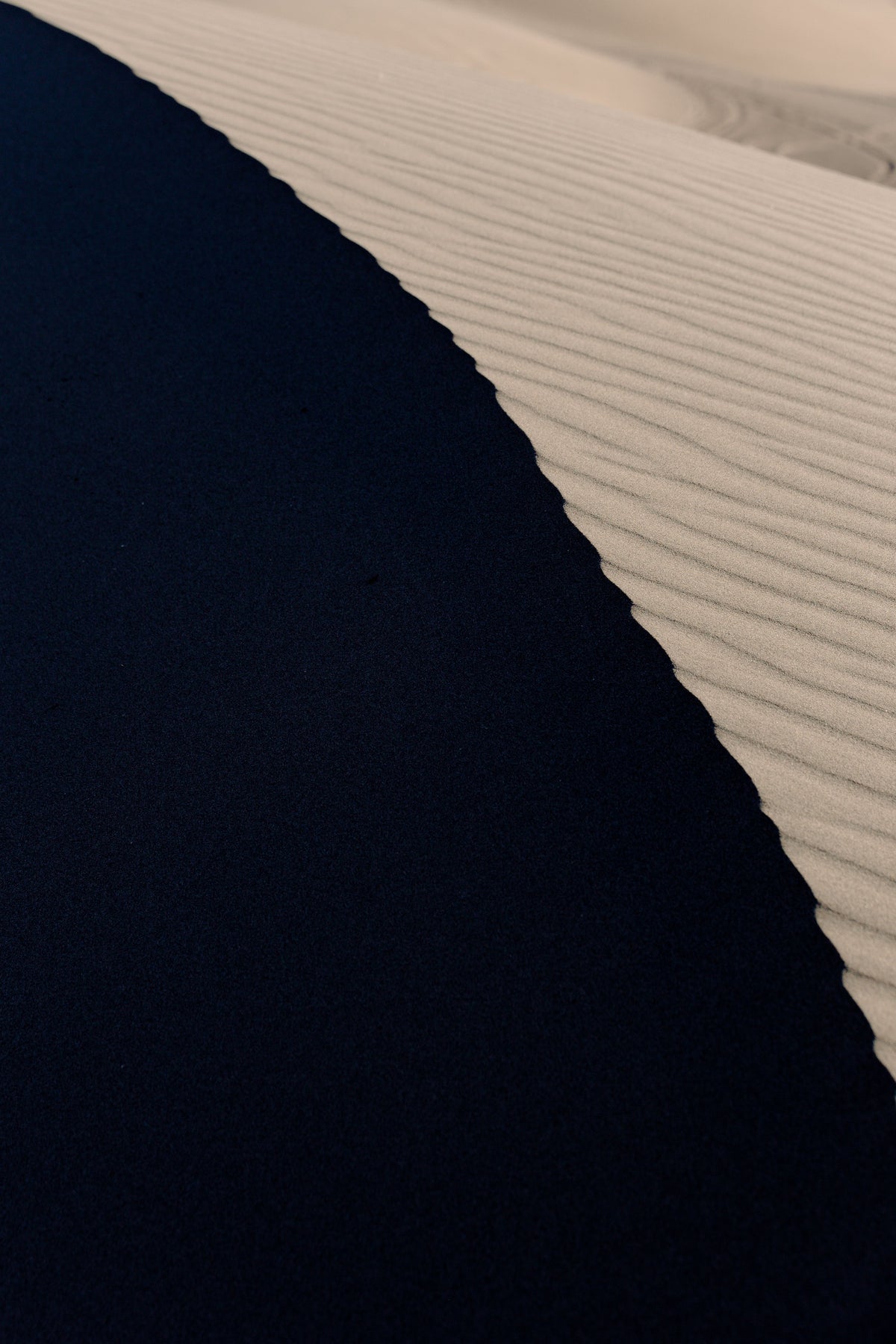 Roja Dove United Arab Emirates: The Complete Guide to the Fragrance and the Best Extrait Dupe