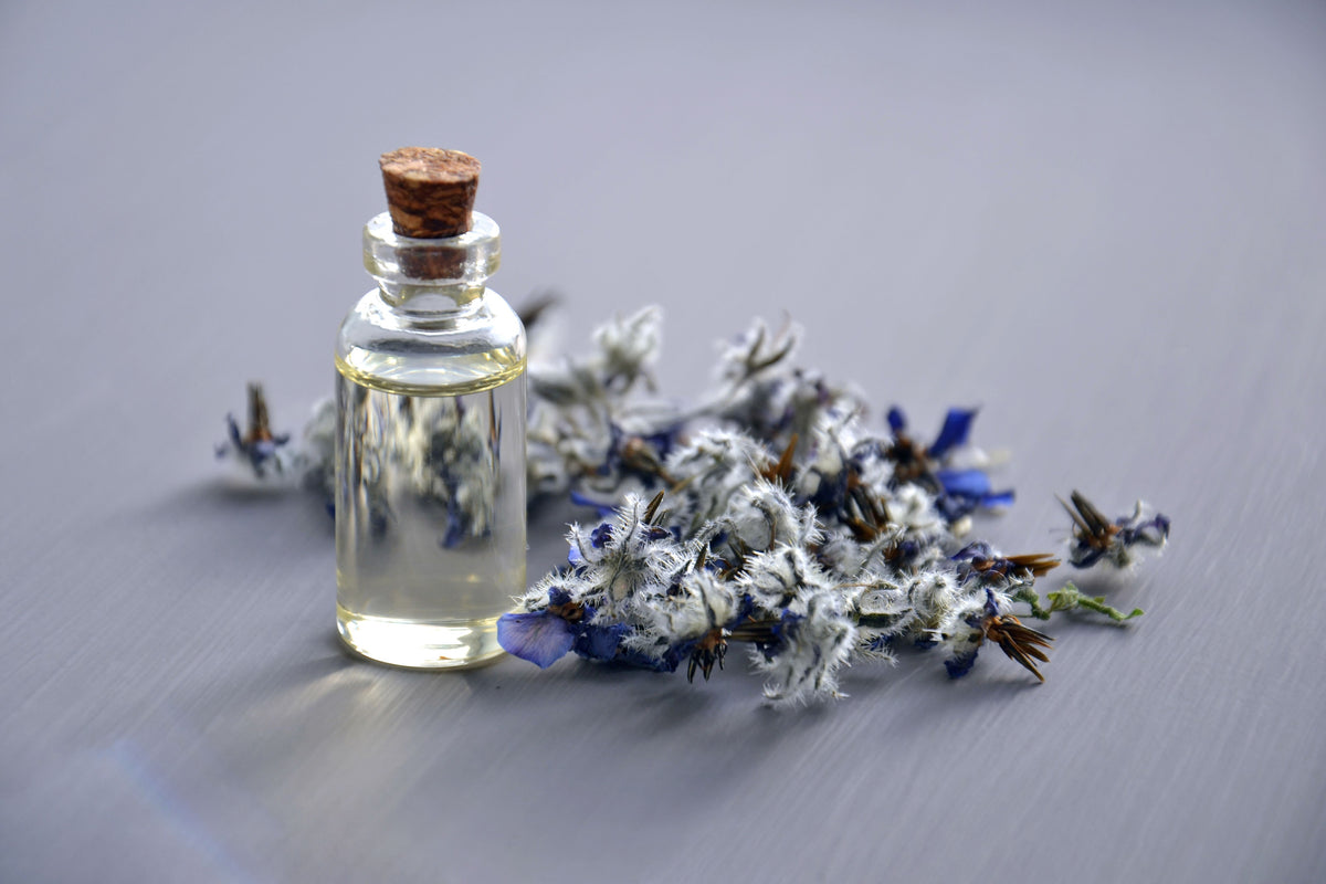 Lavender oil bottle with dried lavender flowers, evoking the fresh herbal opening of a fougère fragrance