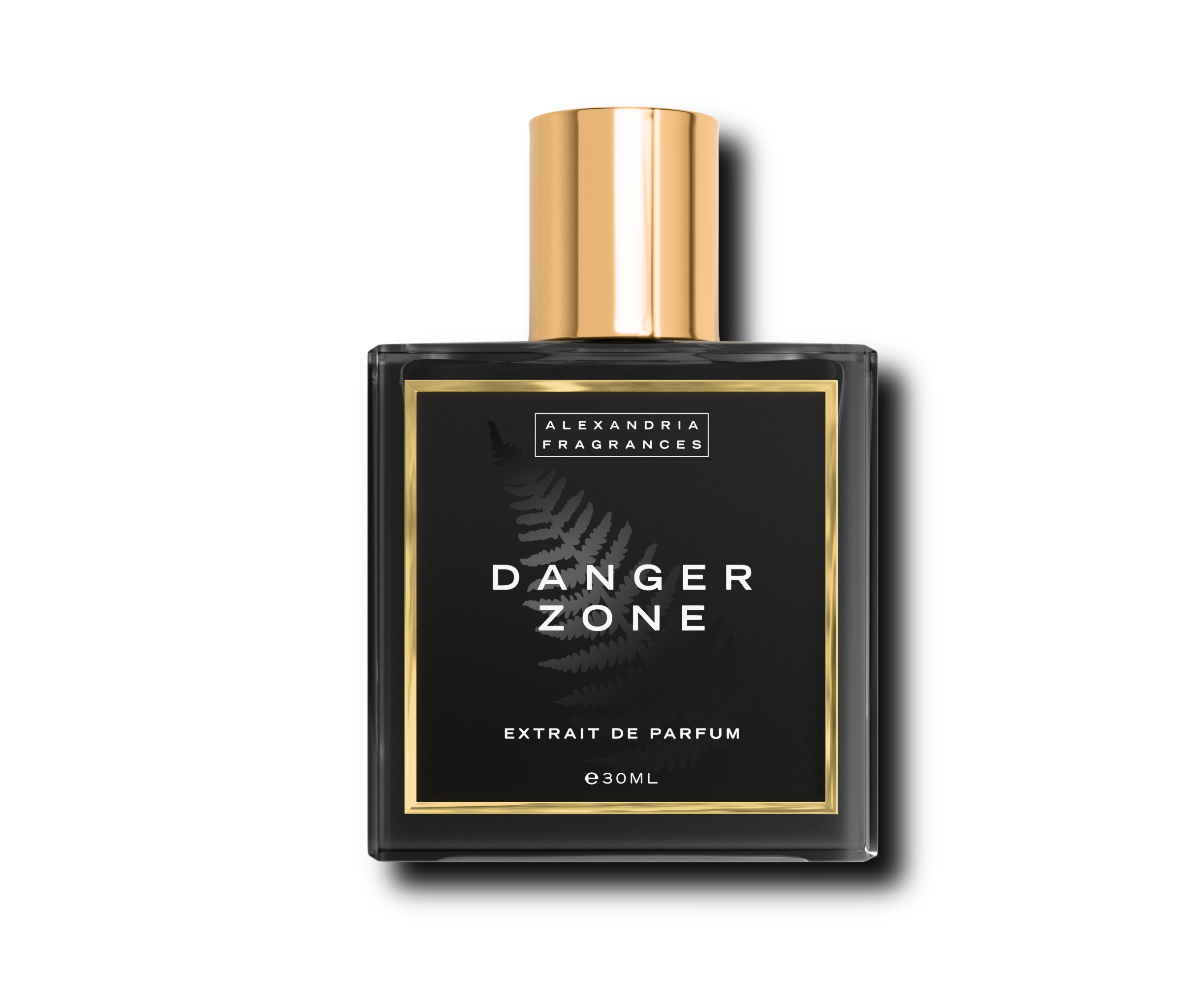 Danger Zone Inspired By Roja Dove Danger Pour Homme