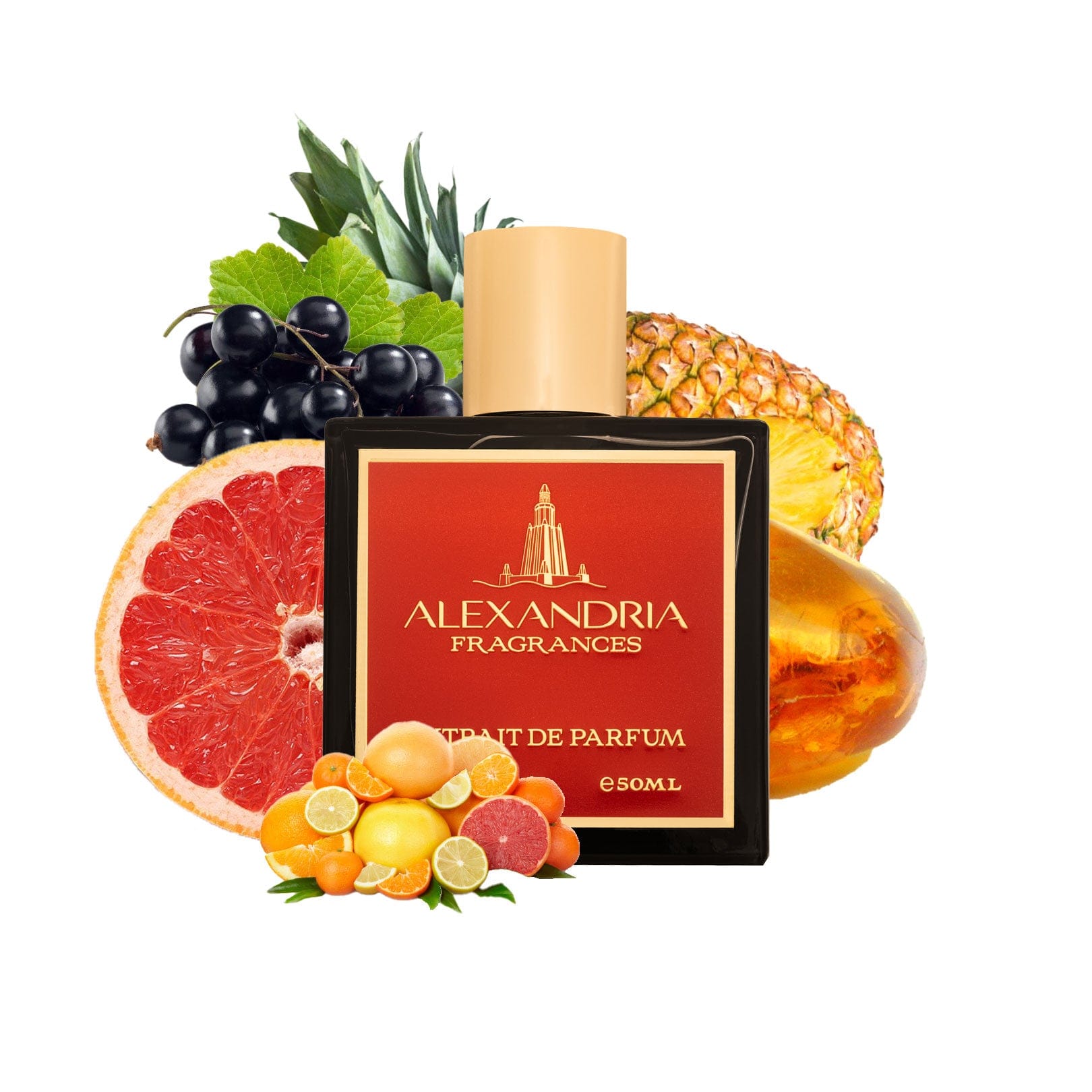 AlexandriaUK 30ml Executive Order Original Creation best dupe perfume