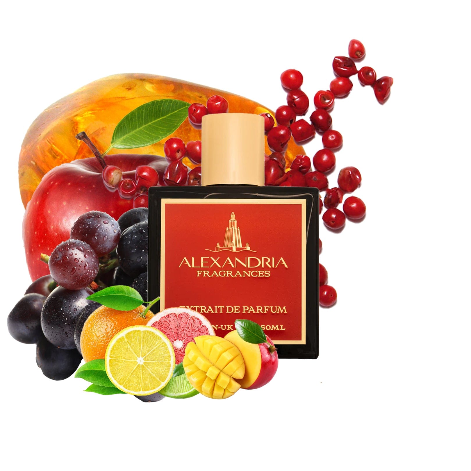 AlexandriaUK 30ml God Of Zion Oiginal Creation best dupe perfume