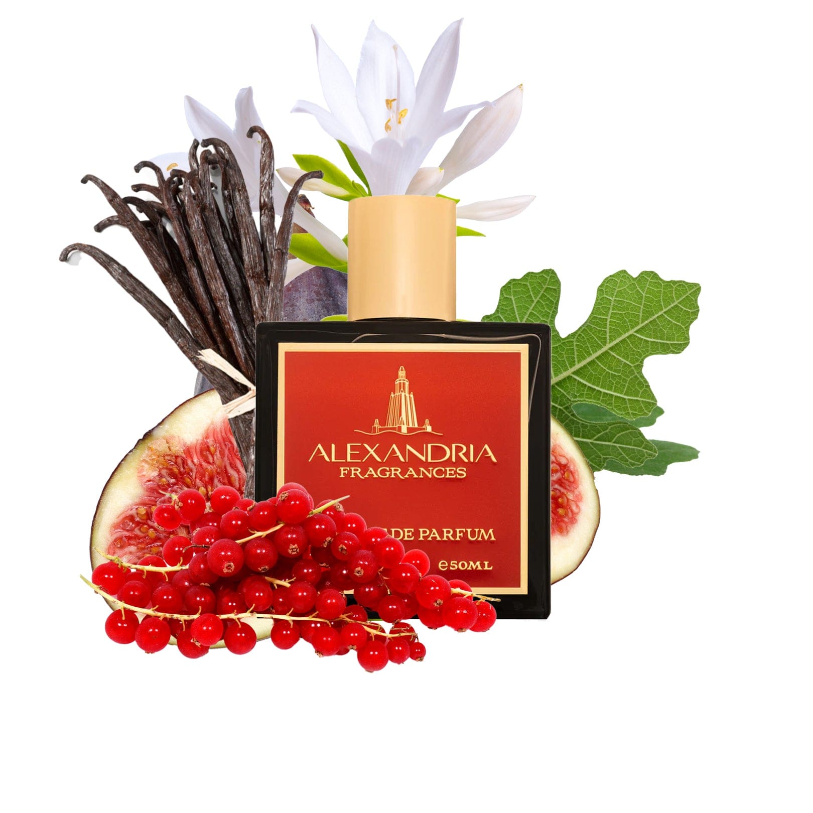 AlexandriaUK 30ml Les Quais Original Creation best dupe perfume