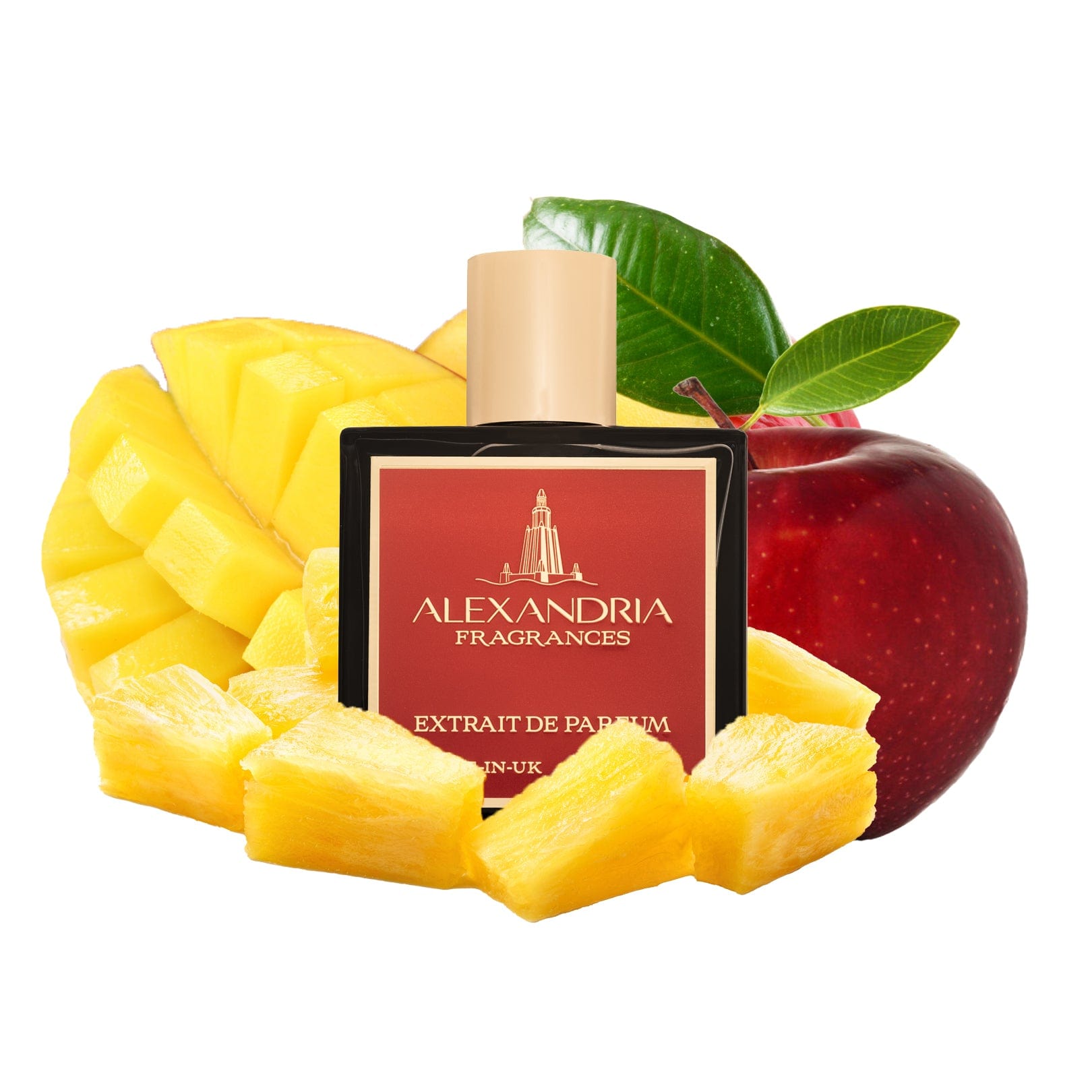 AlexandriaUK 30ml Mango Storm best dupe perfume