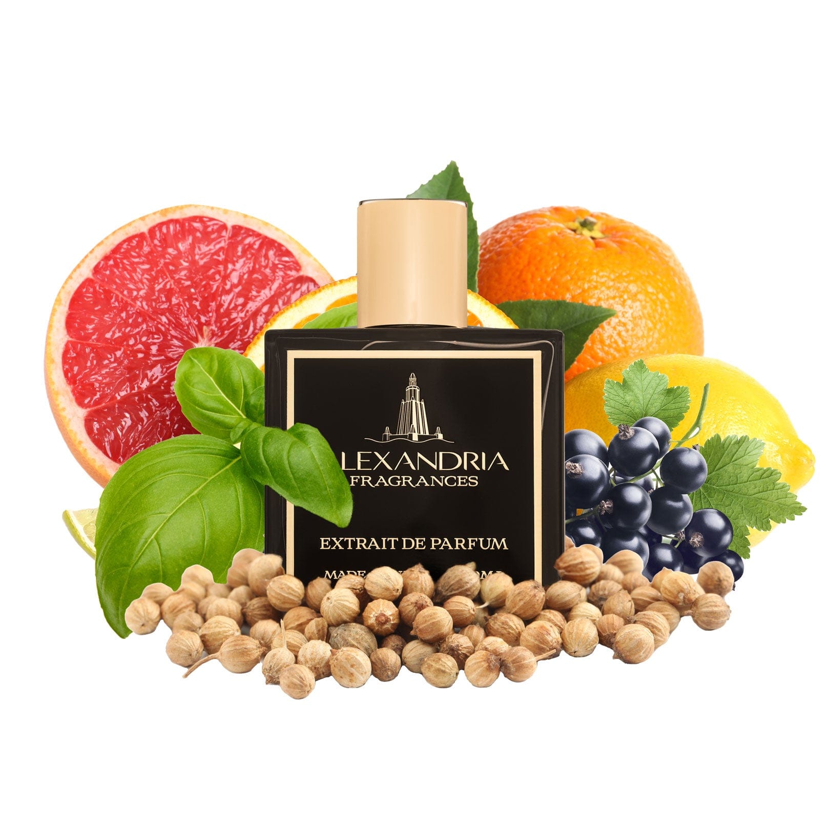 AlexandriaUK 30ml Pacific Coast Inspired By Pacific Chill | Dupe | Clone | Alternative | Luxury | Quality | Copy Extrait de Parfum best dupe perfume