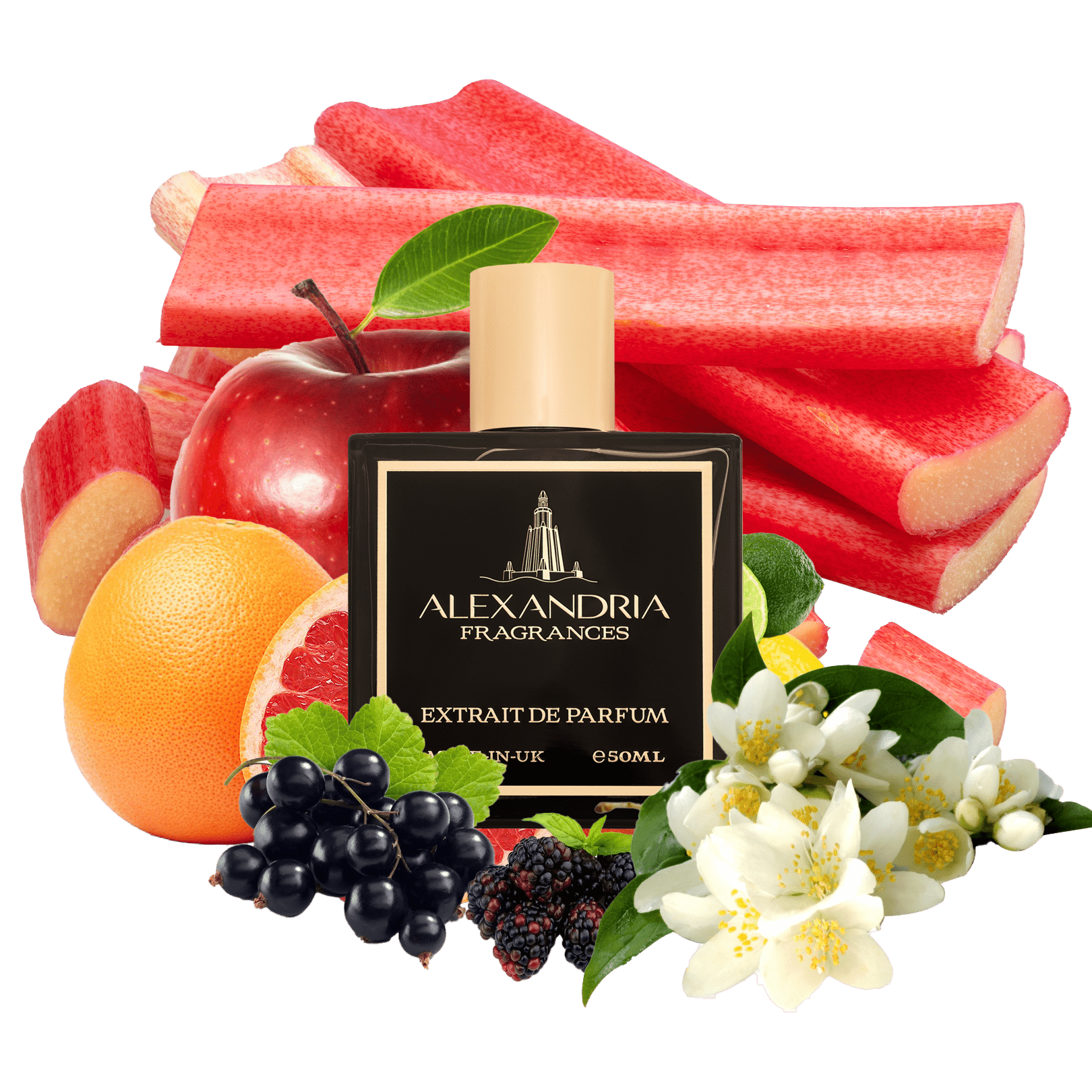 AlexandriaUK 30ml Zion INTENSE Inspired By Roja Elysium Eau Intense | Dupe | Clone | Alternative | Luxury | Quality | Copy Extrait de Parfum best dupe perfume