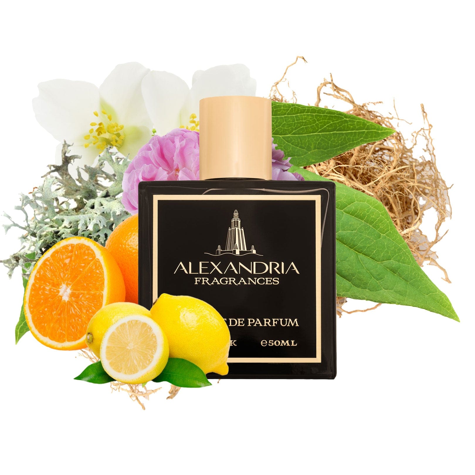 AlexandriaUK Ferocity Inspired By A&F Fierce| Dupe | Clone | Alternative | Luxury | Quality | Copy Extrait de Parfum best dupe perfume