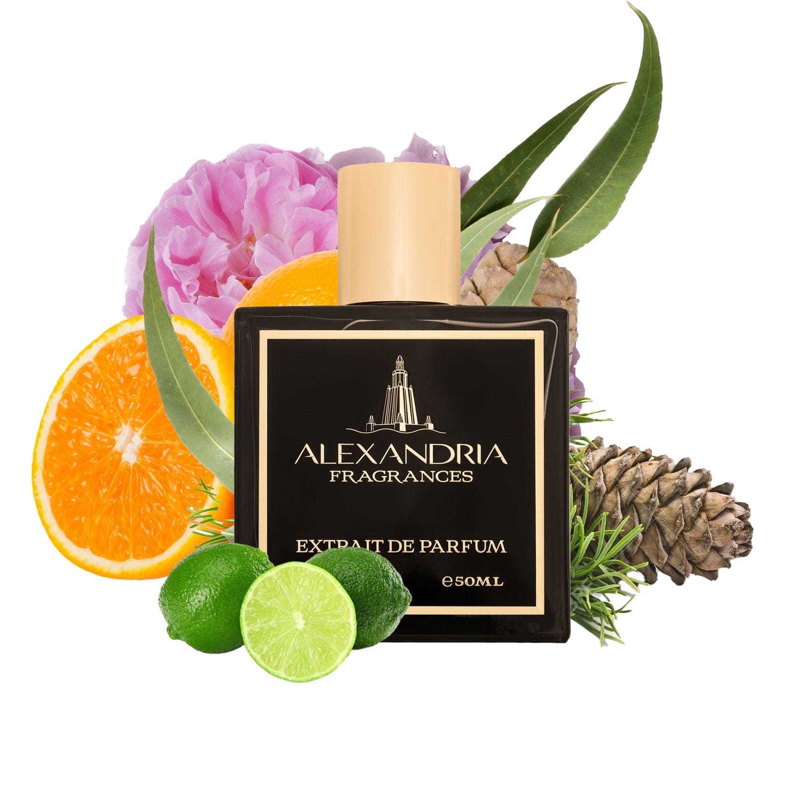 AlexandriaUK Perfume 30ml Bespoke| Dupe | Clone | Alternative | Luxury | Quality | Copy Extrait de Parfum best dupe perfume