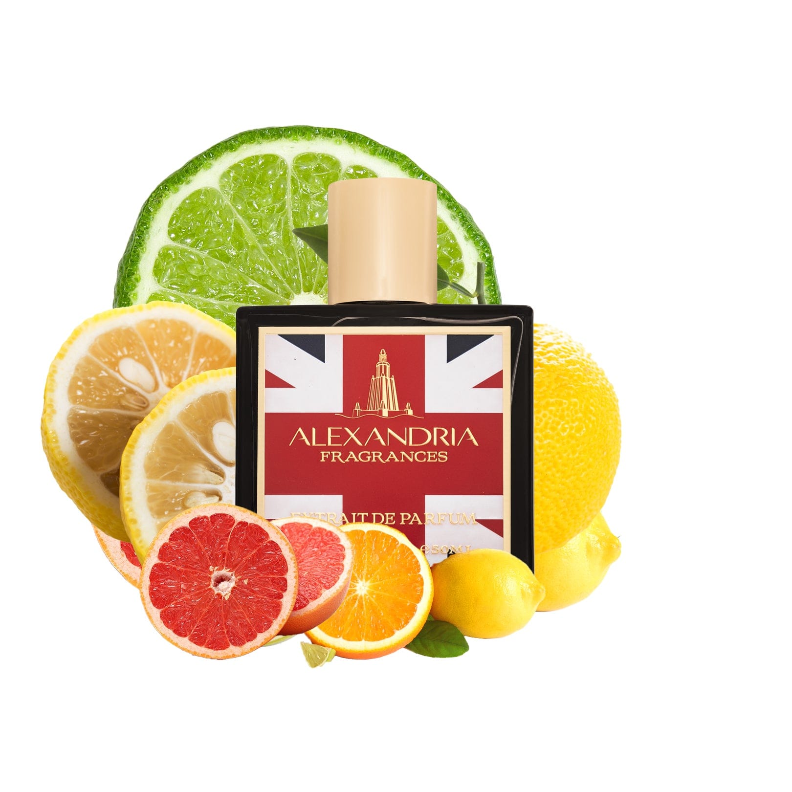 AlexandriaUK Perfume 30ml Blu Eagle (UK Exclusive) Inspired by Royal Eagle Sport by Stefano Ricci | Dupe | Clone | Alternative | Luxury | Quality | Copy Extrait de Parfum best dupe perfume