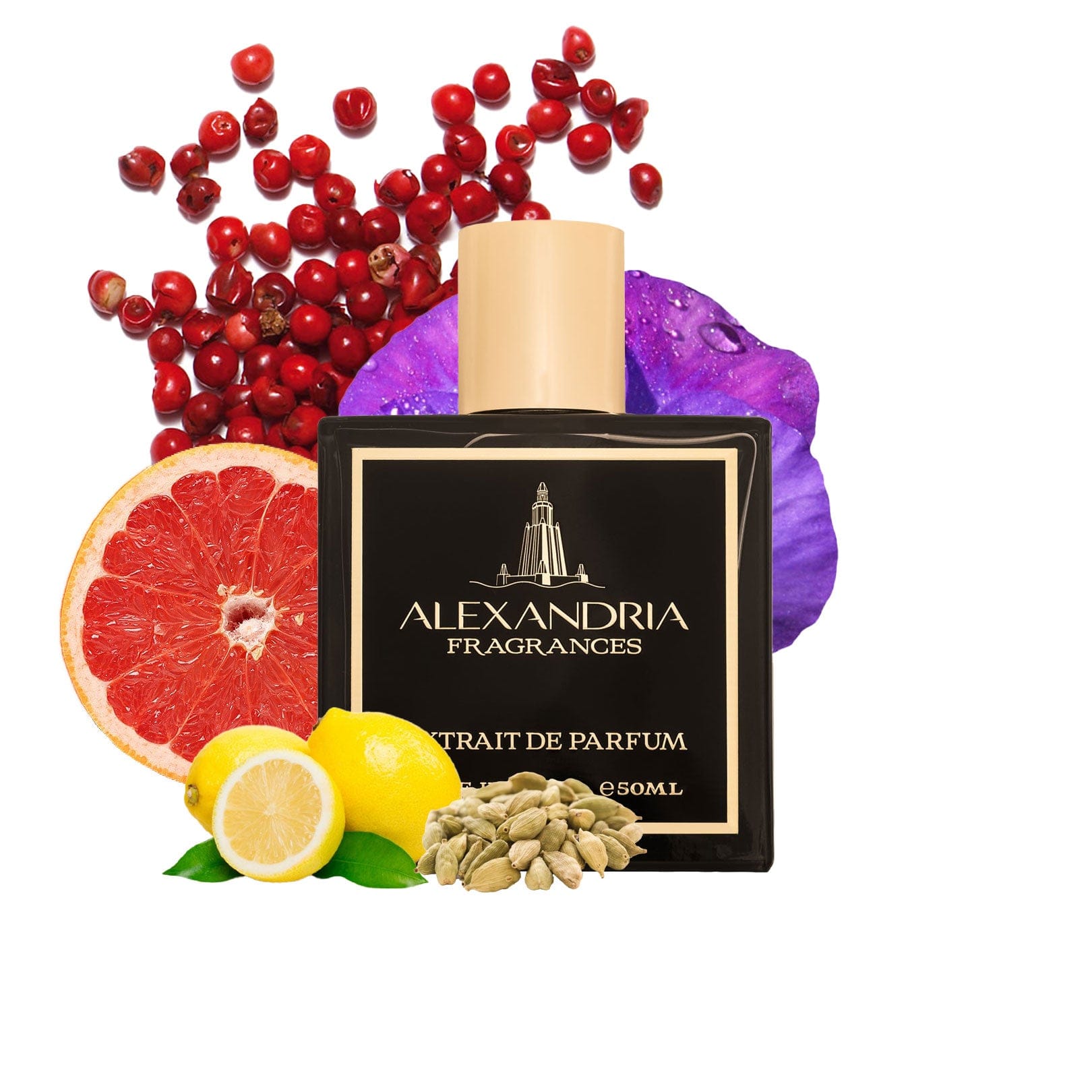 AlexandriaUK Perfume 30ml Casanova Inspired By Roja Midsummer Dream | Dupe | Clone | Alternative | Luxury | Quality | Copy Extrait de Parfum best dupe perfume