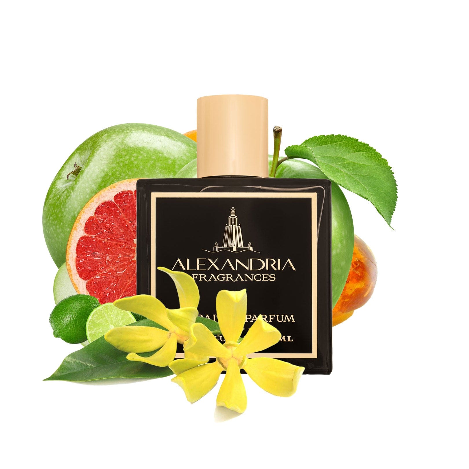 AlexandriaUK Perfume 30ml Cleopatra (For Her) | Dupe | Clone | Alternative | Luxury | Quality | Copy Extrait de Parfum best dupe perfume