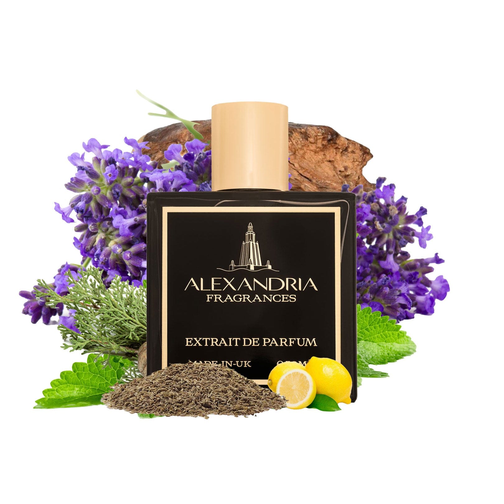 AlexandriaUK Perfume 30ml Danger Zone Inspired By Roja Dove Danger Pour Homme | Dupe | Clone | Alternative | Luxury | Quality | Copy Extrait de Parfum best dupe perfume