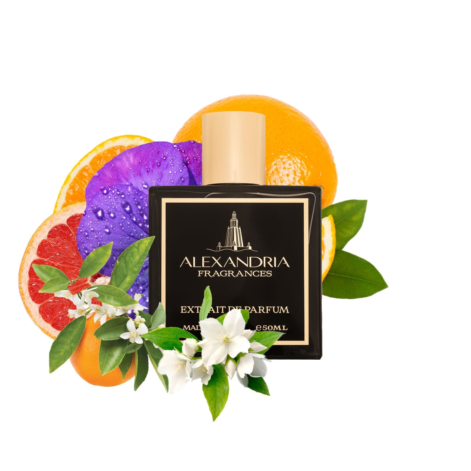 AlexandriaUK Perfume 30ml Dear Gabby Inspired By Chanel's Gabrielle | Dupe | Clone | Alternative | Luxury | Quality | Copy Extrait de Parfum best dupe perfume