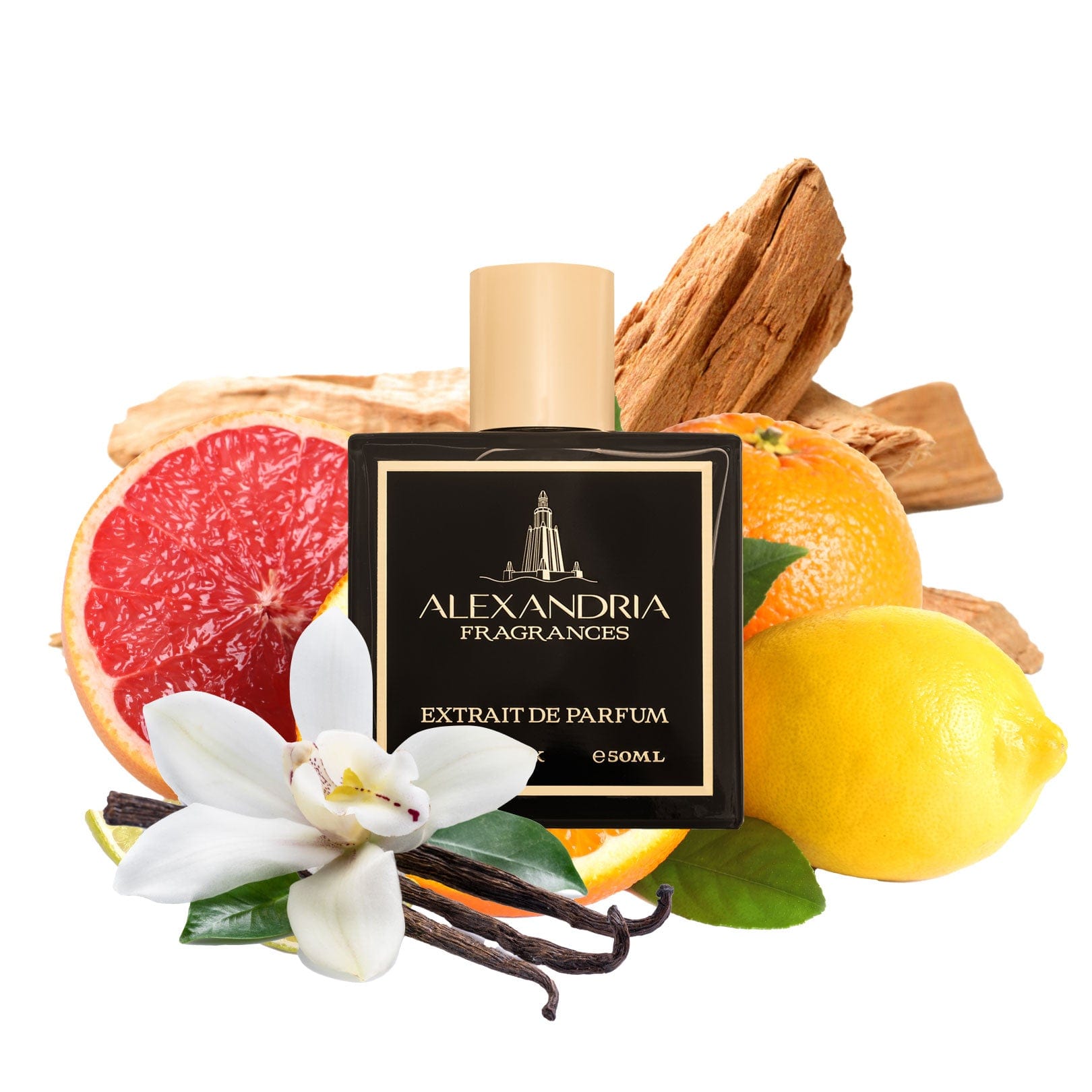 AlexandriaUK Perfume 30ml Luxor Summer Inspired By Xerjoff Uden | Dupe | Clone | Alternative | Luxury | Quality | Copy Extrait de Parfum best dupe perfume