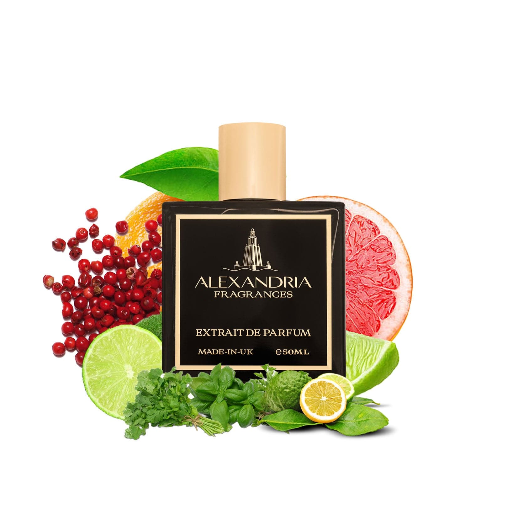 AlexandriaUK Perfume 30ml Mediterranean Coast | Dupe | Clone | Alternative | Luxury | Quality | Copy Extrait de Parfum best dupe perfume