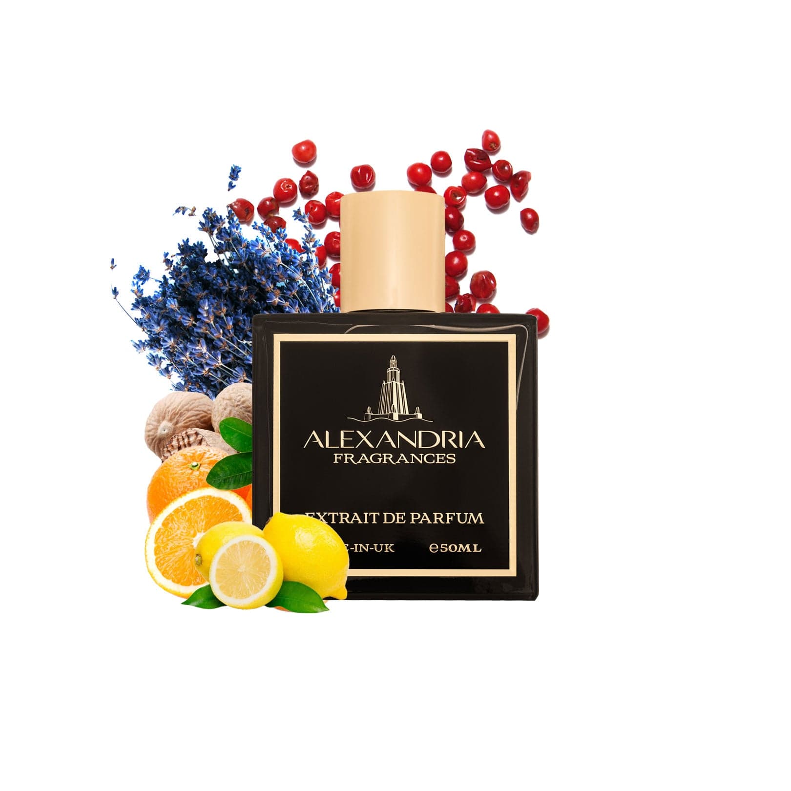 AlexandriaUK Perfume 30ml Seven Seas Inspired by Viking | Dupe | Clone | Alternative | Luxury | Quality | Copy Extrait de Parfum best dupe perfume