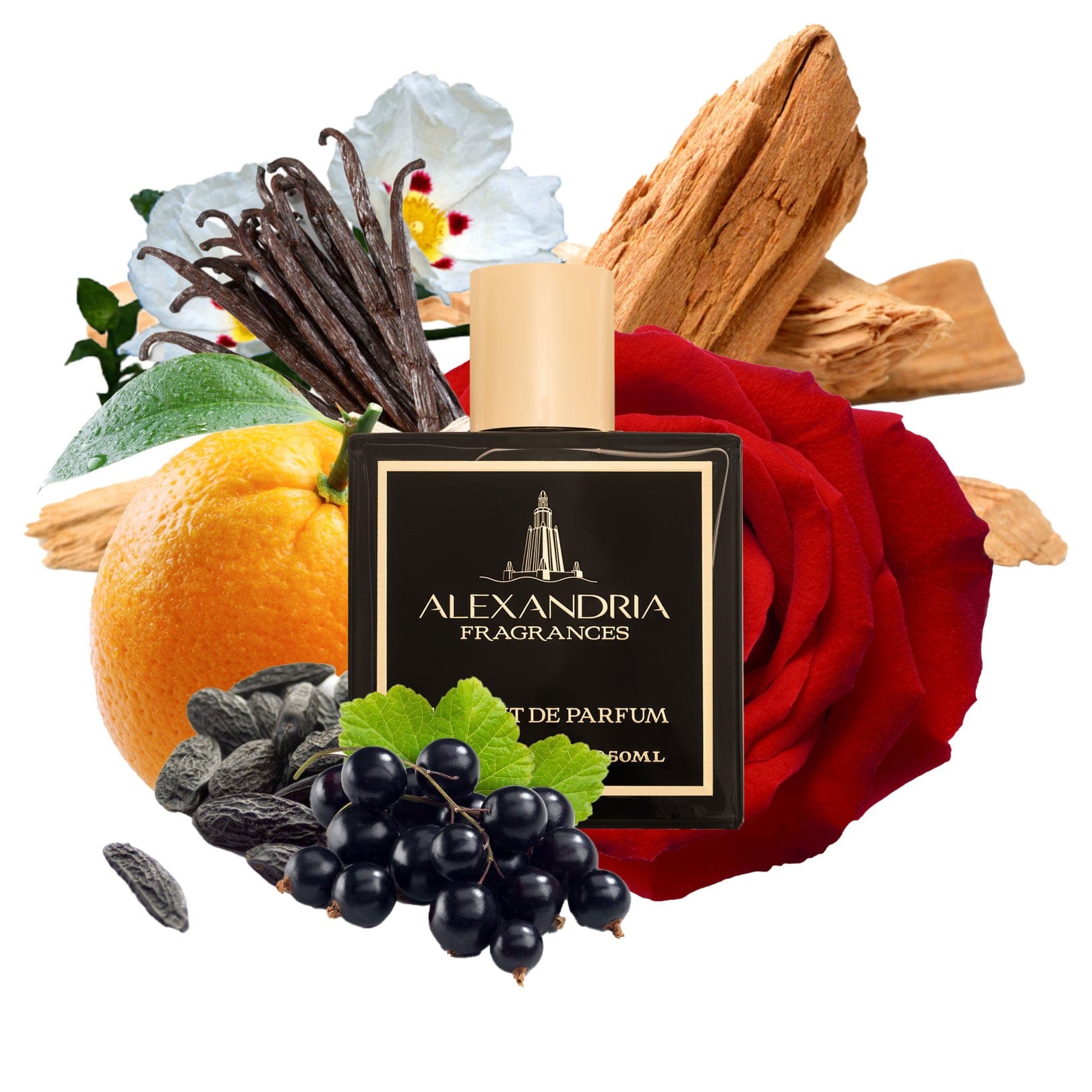 AlexandriaUK Perfume 30ml Valley Of The Kings Inspired By Xerjoff Richwood | Dupe | Clone | Alternative | Luxury | Quality | Copy Extrait de Parfum best dupe perfume