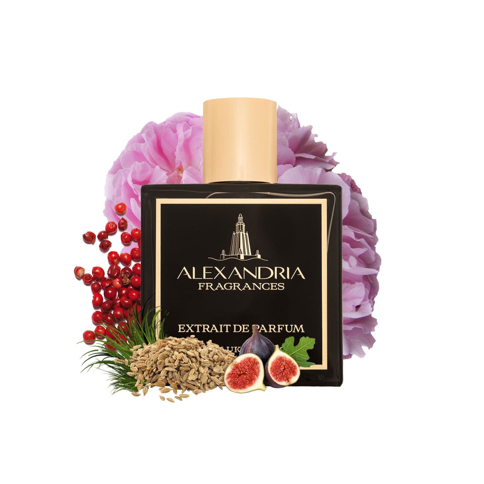 AlexandriaUK Perfume 50ml ARRAKIS Inspired By Dior Dune Pour Homme | Dupe | Clone | Alternative | Luxury | Quality | Copy Extrait de Parfum best dupe perfume