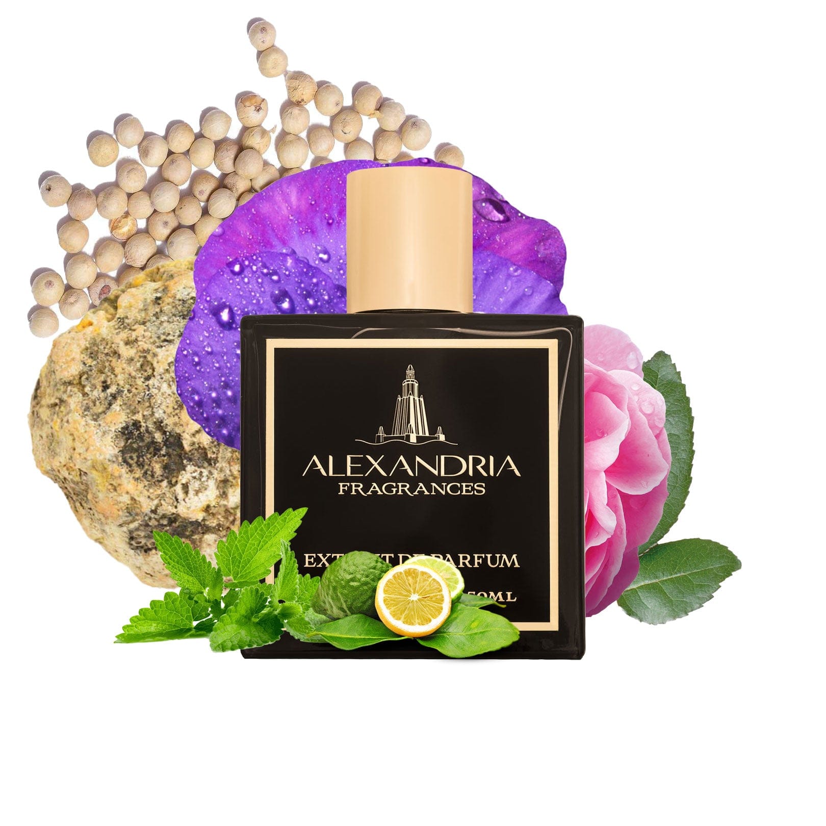 Black Tie Affair - AlexandriaUK