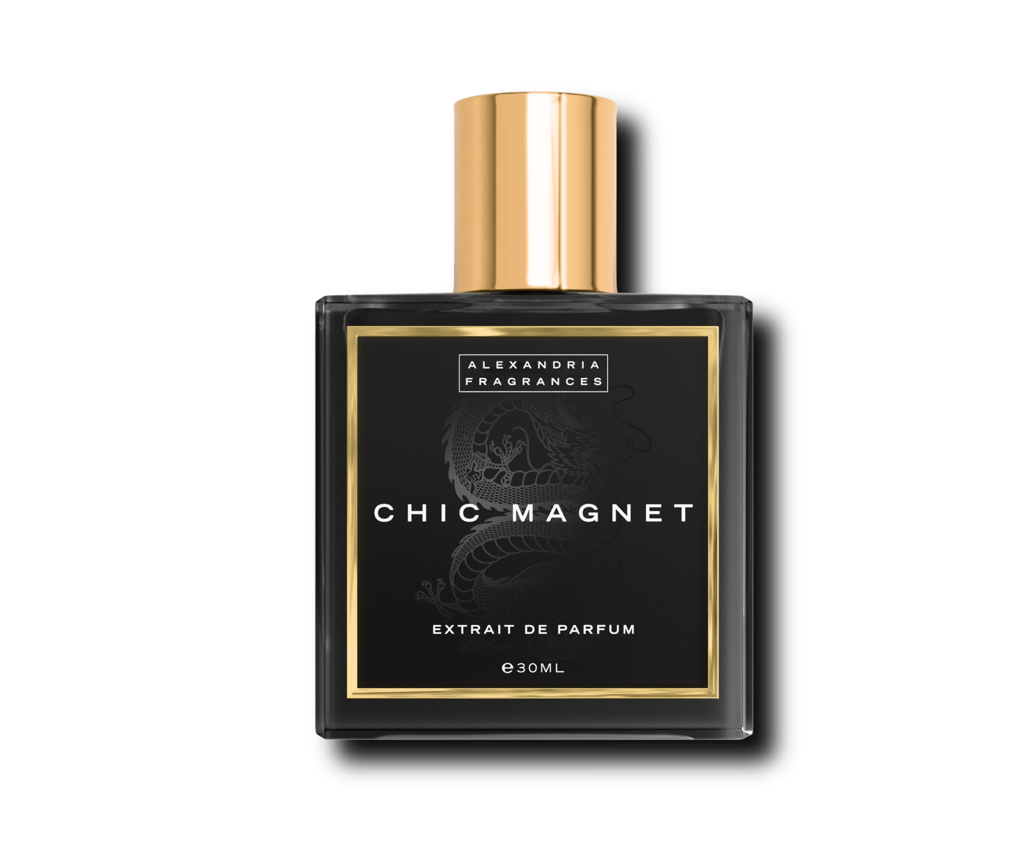 Chic Magnet Inspired By Magnetism Escada - AlexandriaUK