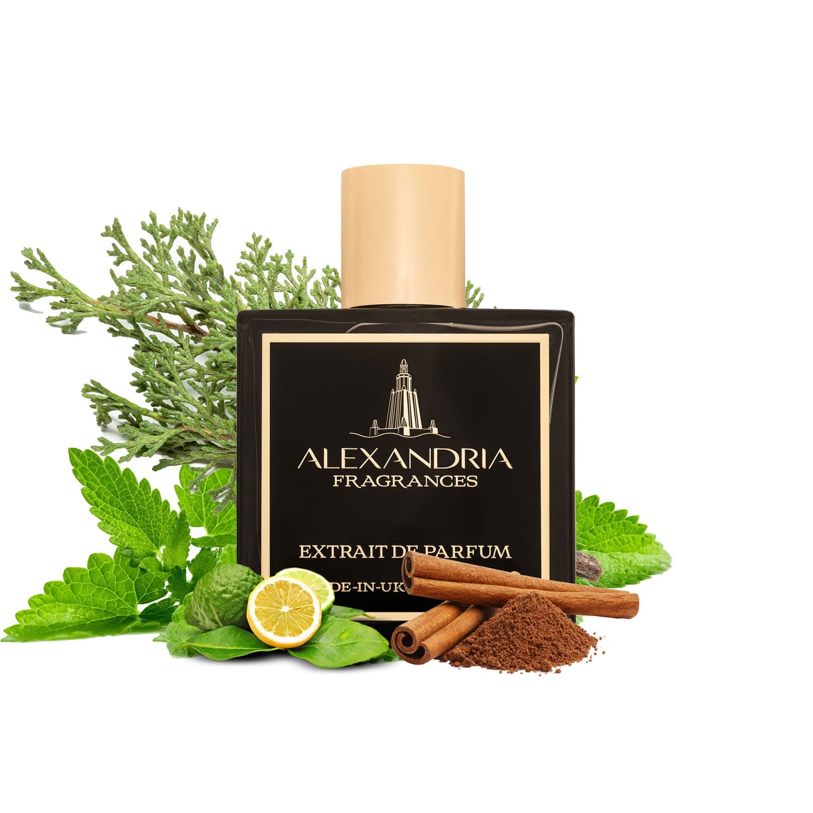 Cypress Spring Inspired By Amouage Bracken Man - AlexandriaUK