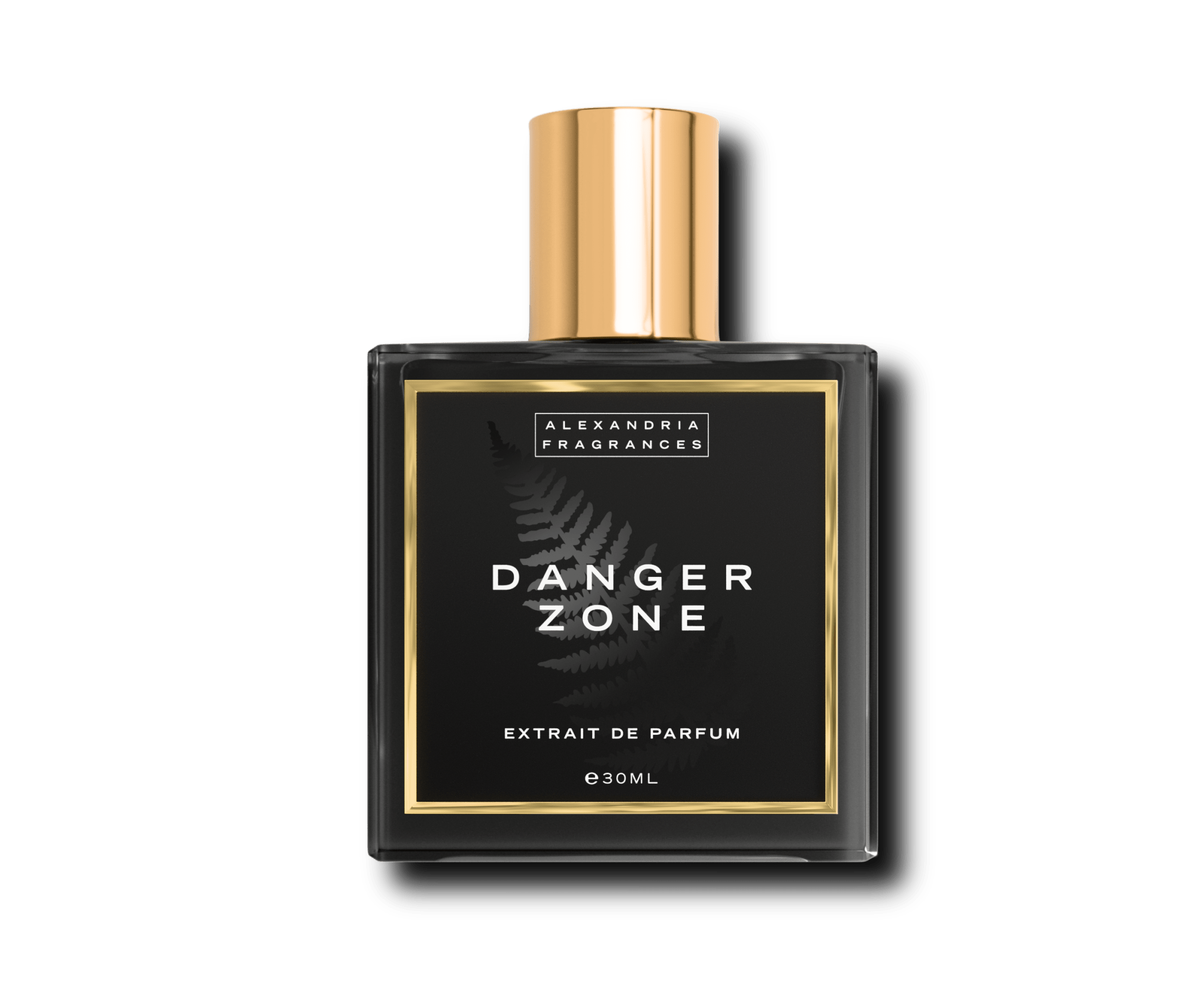 Danger Zone Inspired By Roja Dove Danger Pour Homme - AlexandriaUK