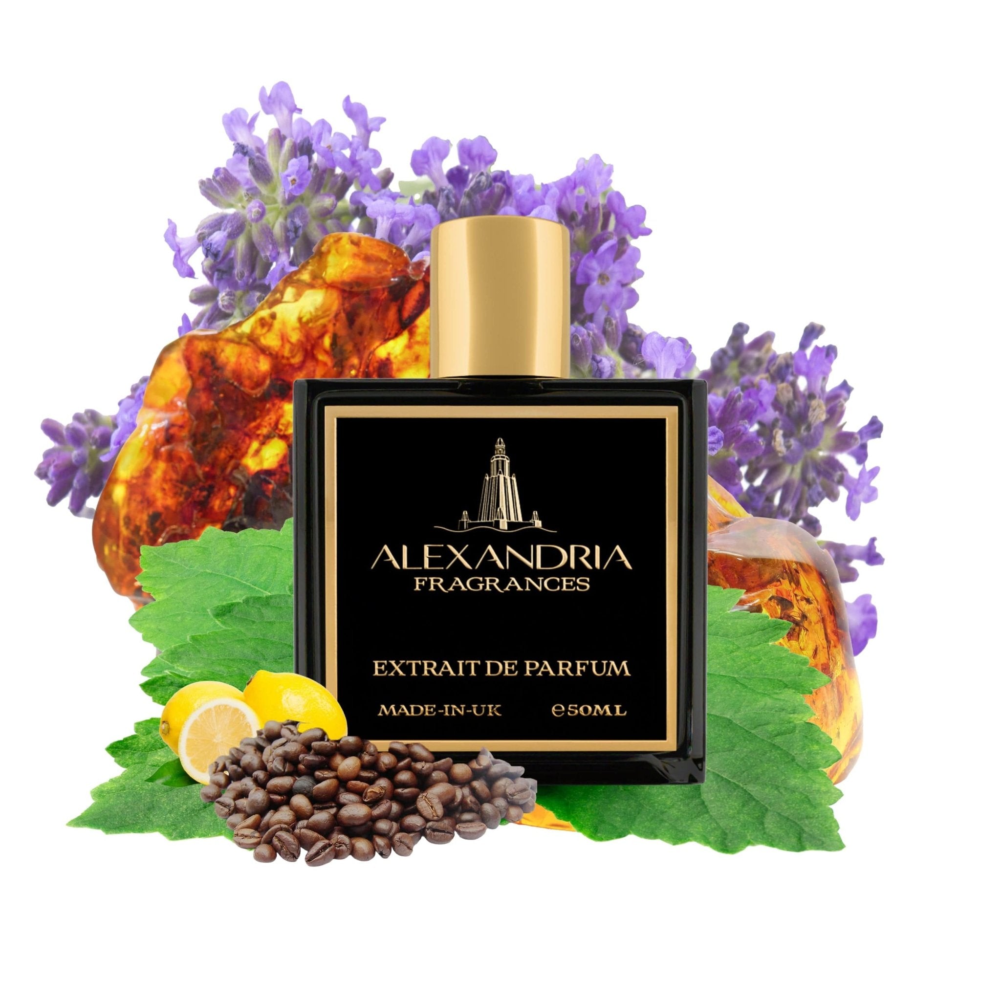 Egyptian Attitude - AlexandriaUK