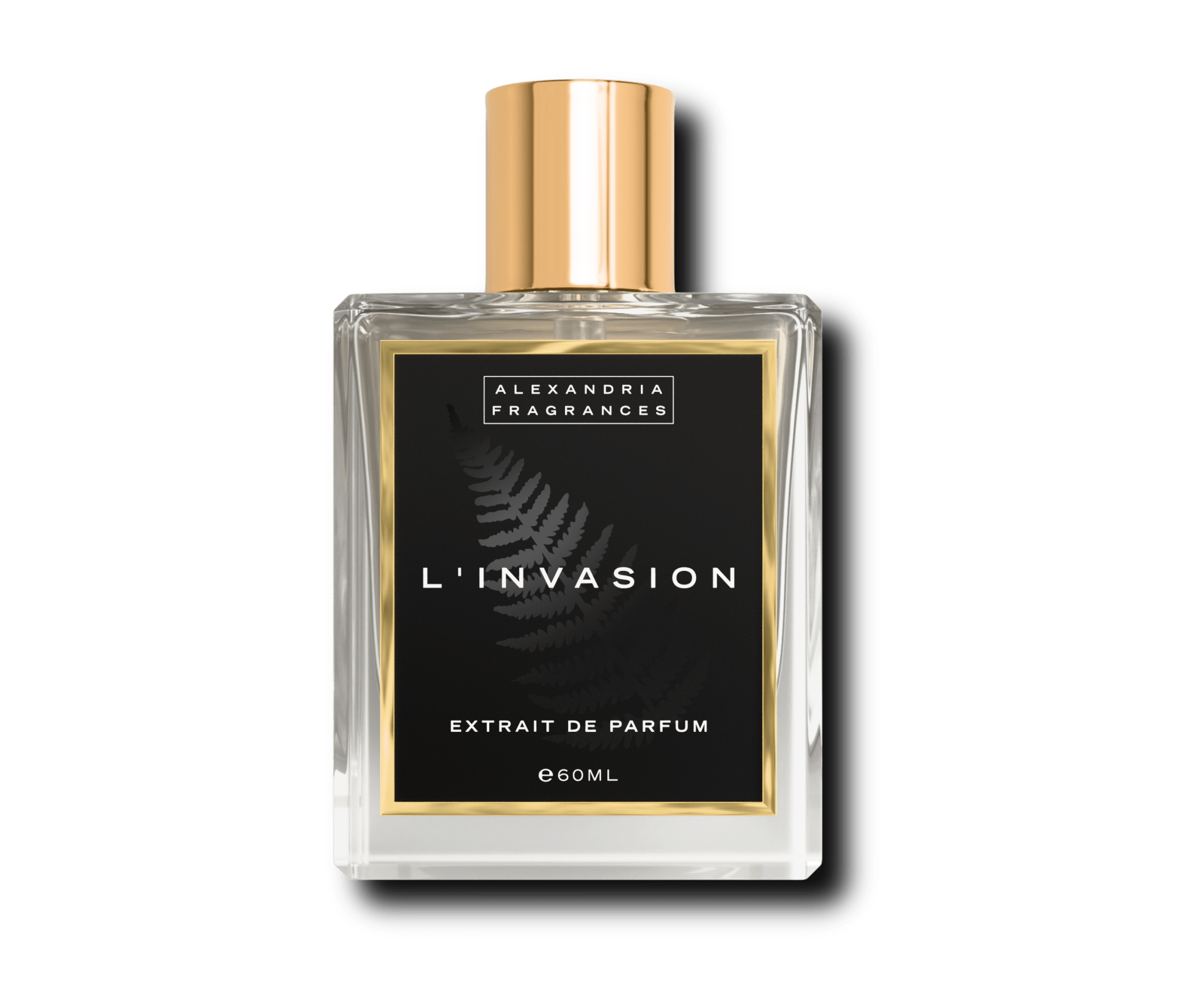 L’INVASION Inspired By MDCI's Invasion Barbare - AlexandriaUK