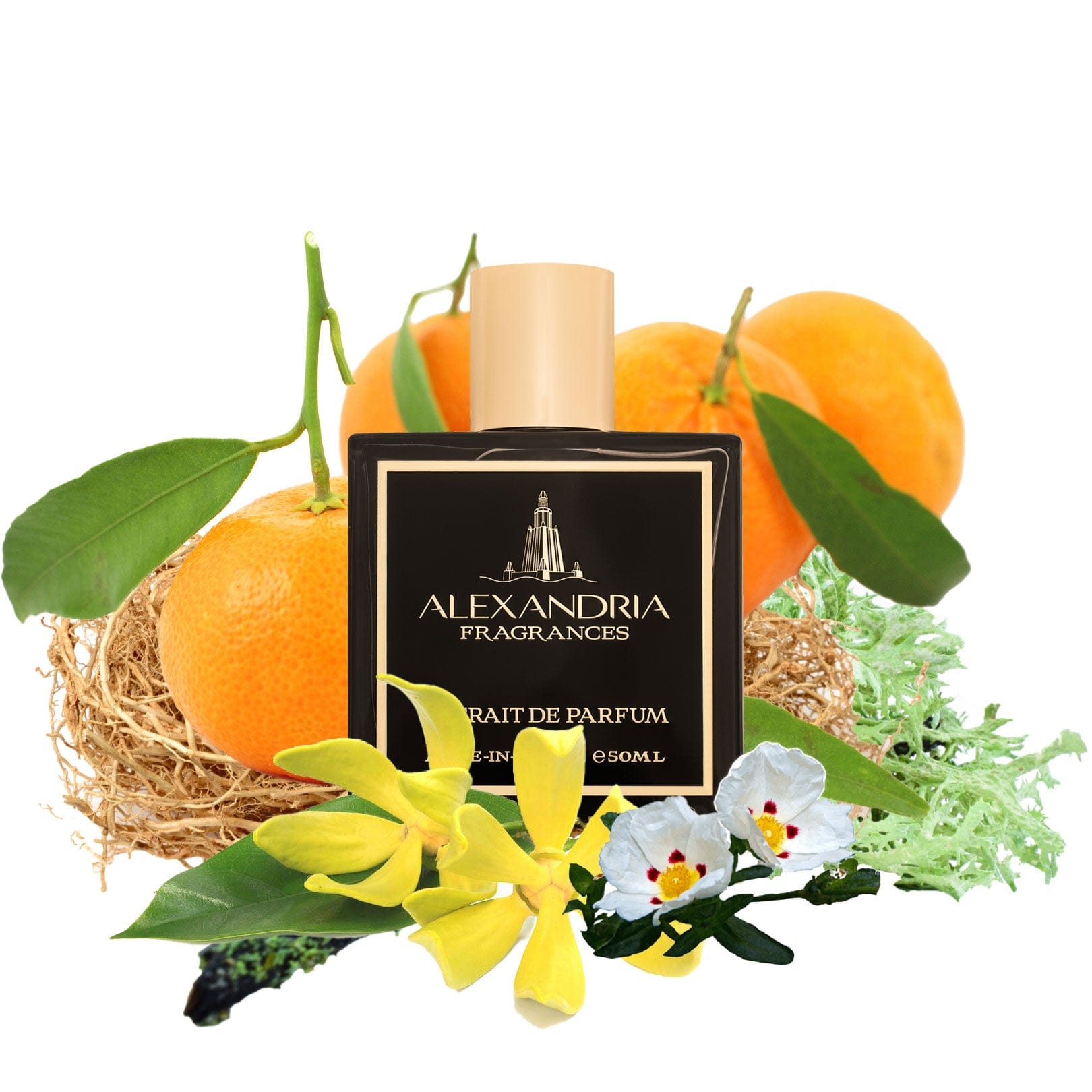 Malibu Beach Inspired By Amouage Beach Hut - AlexandriaUK