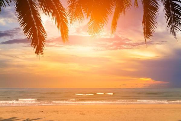 Best Fragrances for Summer: A Comprehensive Guide - AlexandriaUK