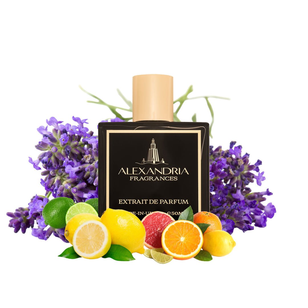 Embracing Sustainability in the Dupes Industry - AlexandriaUK