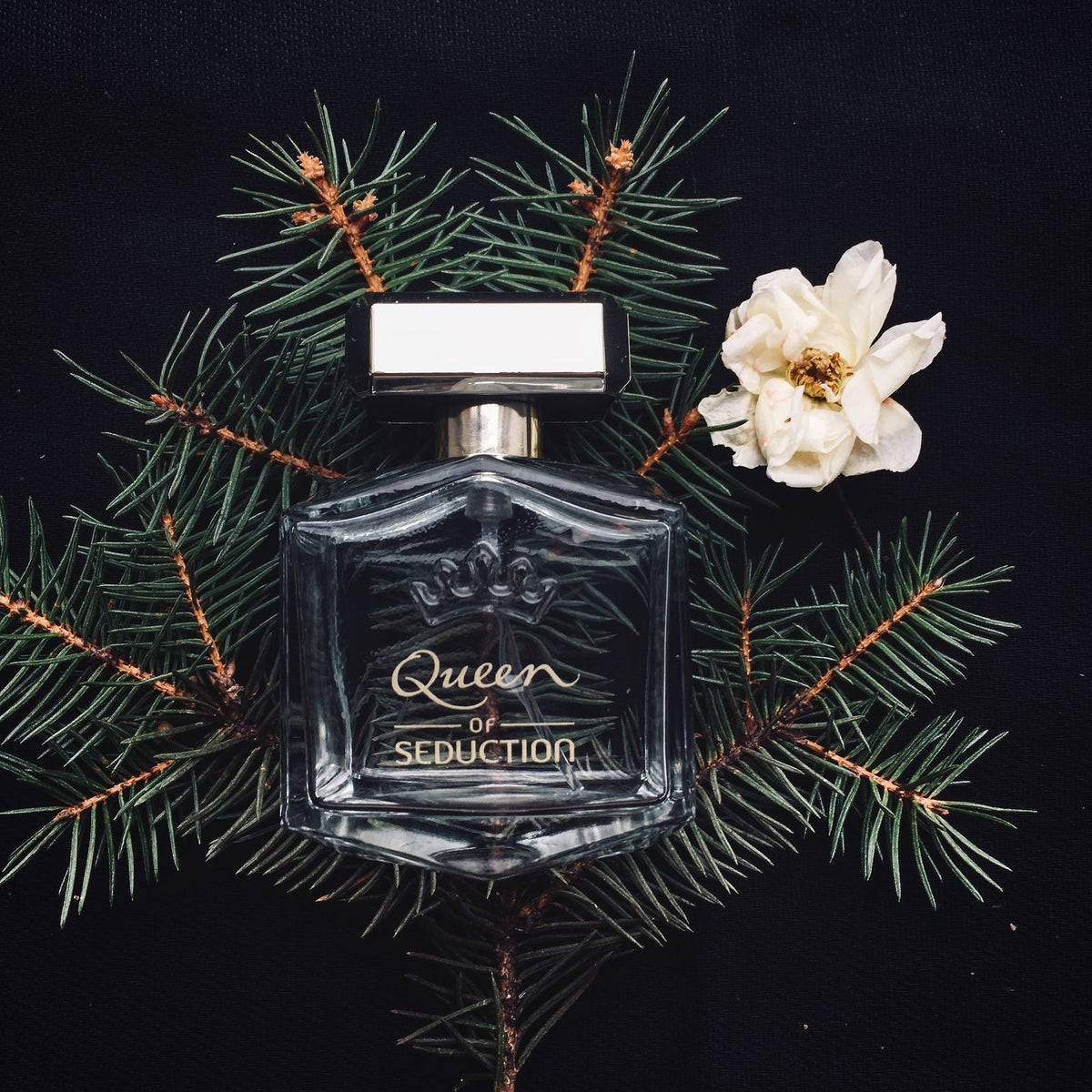 Parfums de Marly Greenley: The Complete Guide to the Fragrance (and the Best Extrait Dupe) - AlexandriaUK