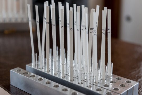 Perfume Notes 101 - AlexandriaUK