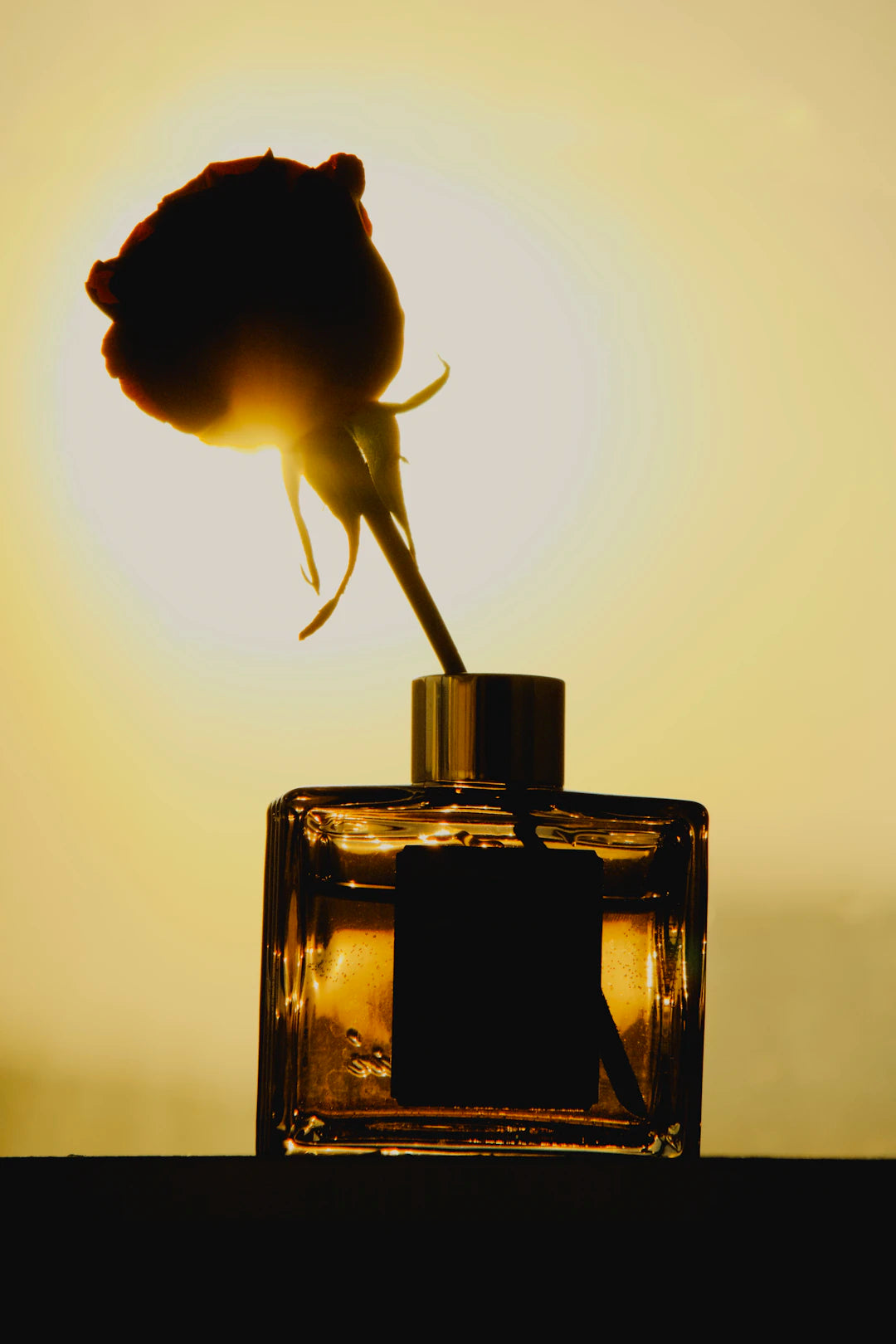 Unlocking the World of Fragrance Notes