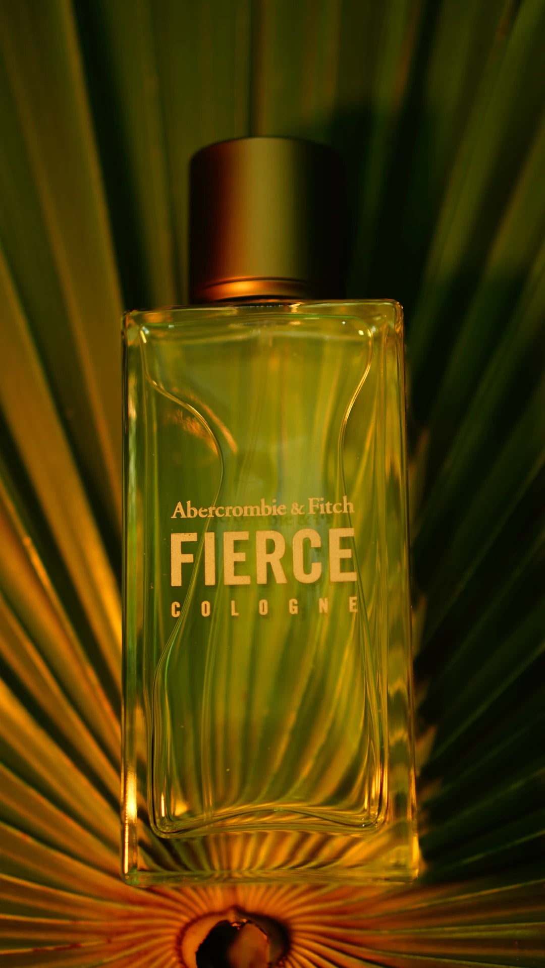 Explore Budget-Friendly Fragrance Options with Alexandria
