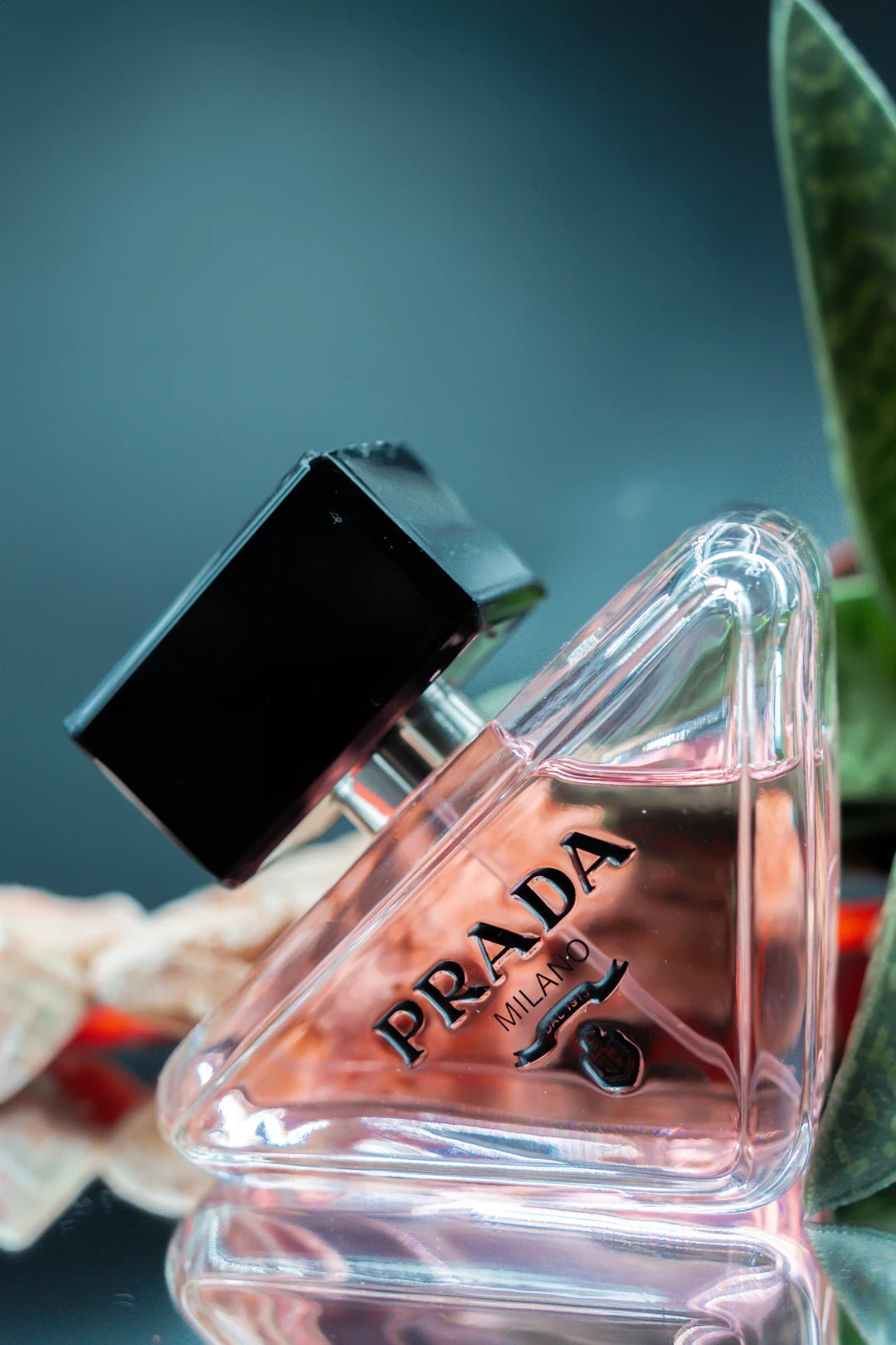 The Allure of Perfume Clones: What You Should Know - AlexandriaUK