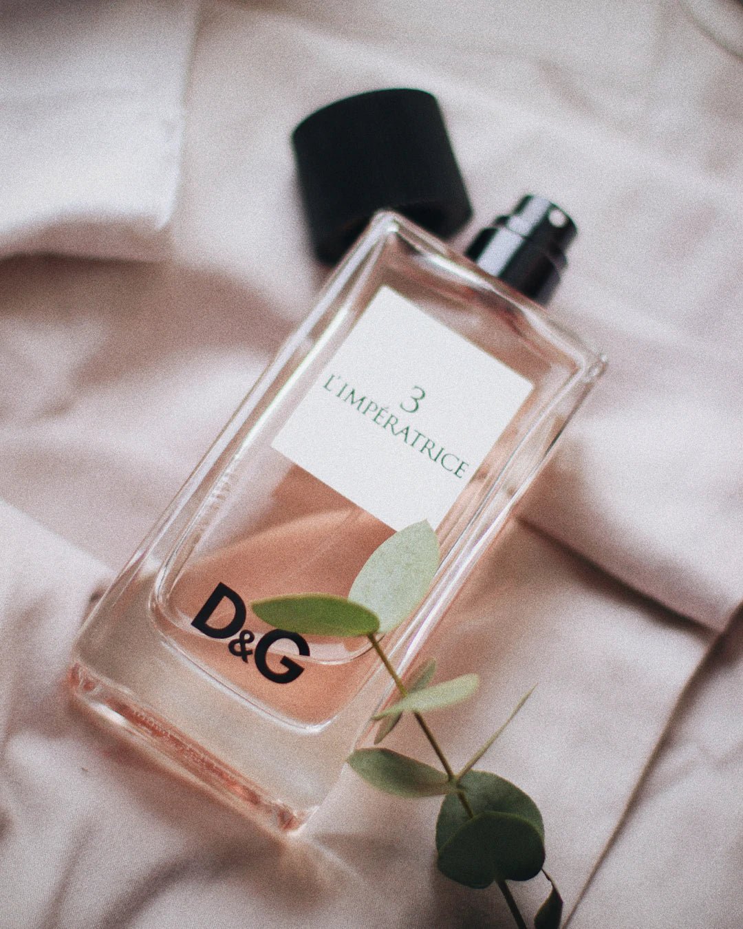The Science Behind Alexandria's Fragrance Dupes - AlexandriaUK