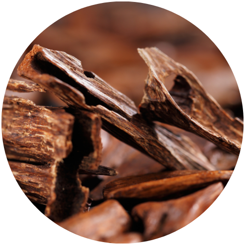 Roja Dove Inspirations