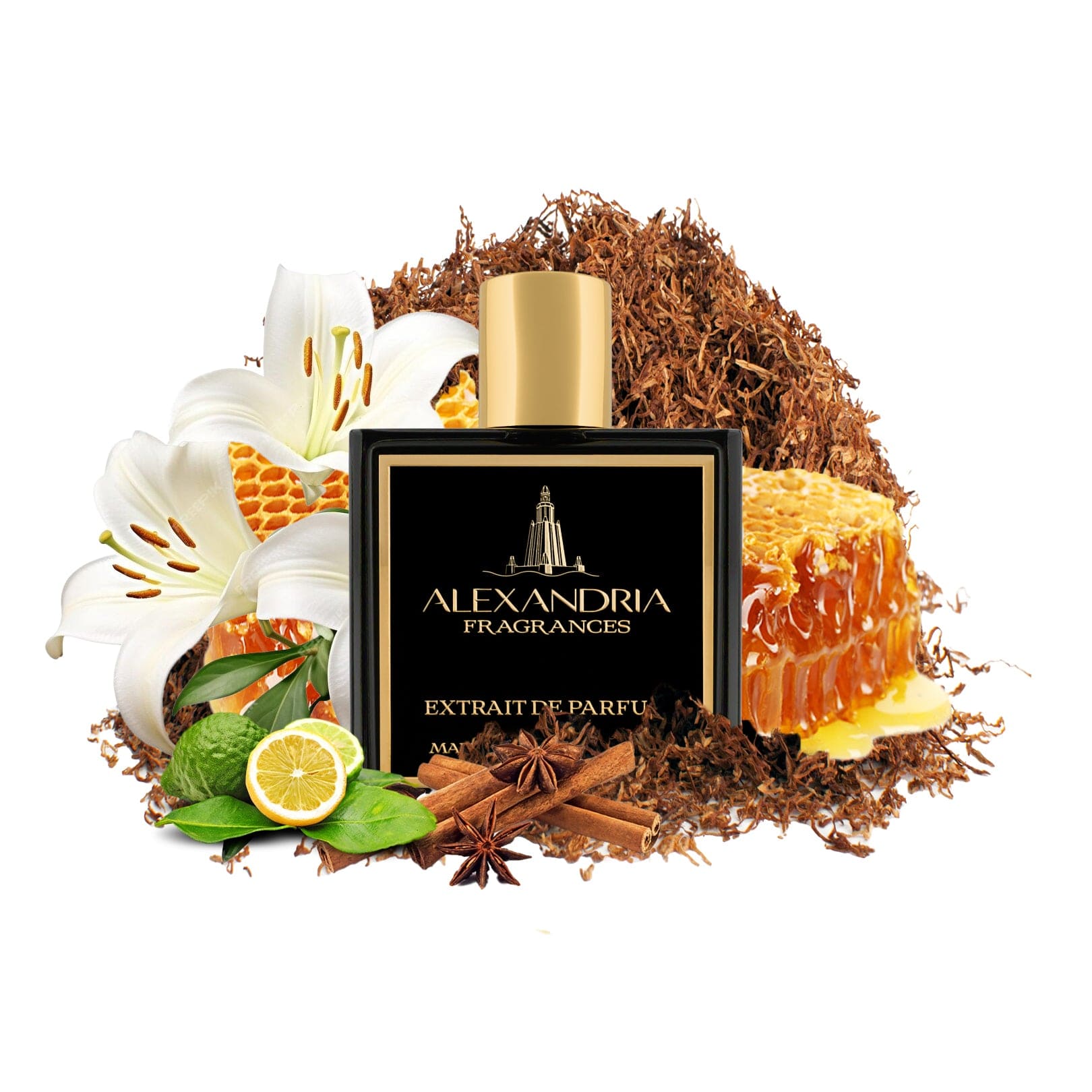 1981X – Xerjoff Naxos Inspired Fragrance Extrait UK