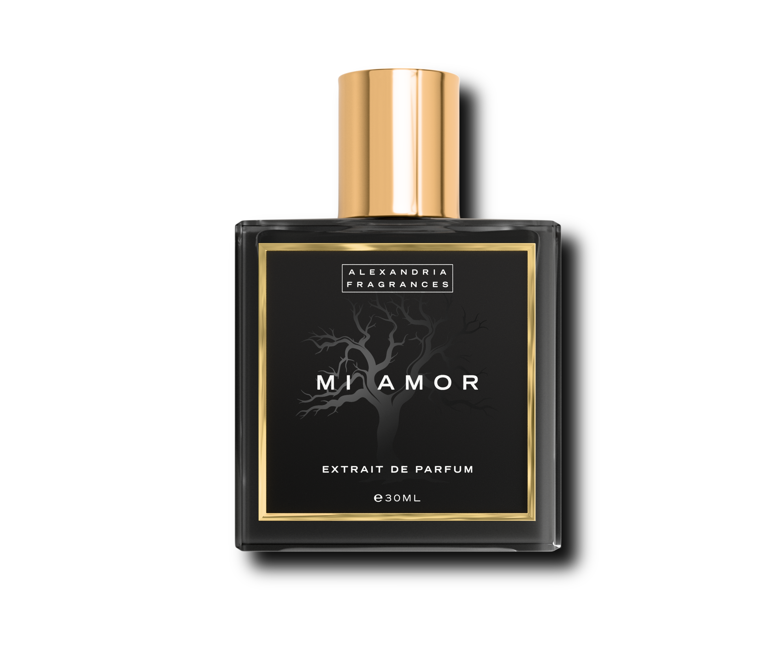 Mi Amor Inspired By LV Lovers
