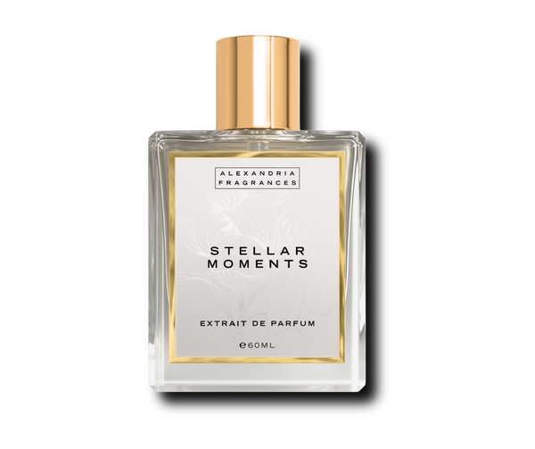 Stellar Moments Inspired by Stellar Times Louis Vuitton