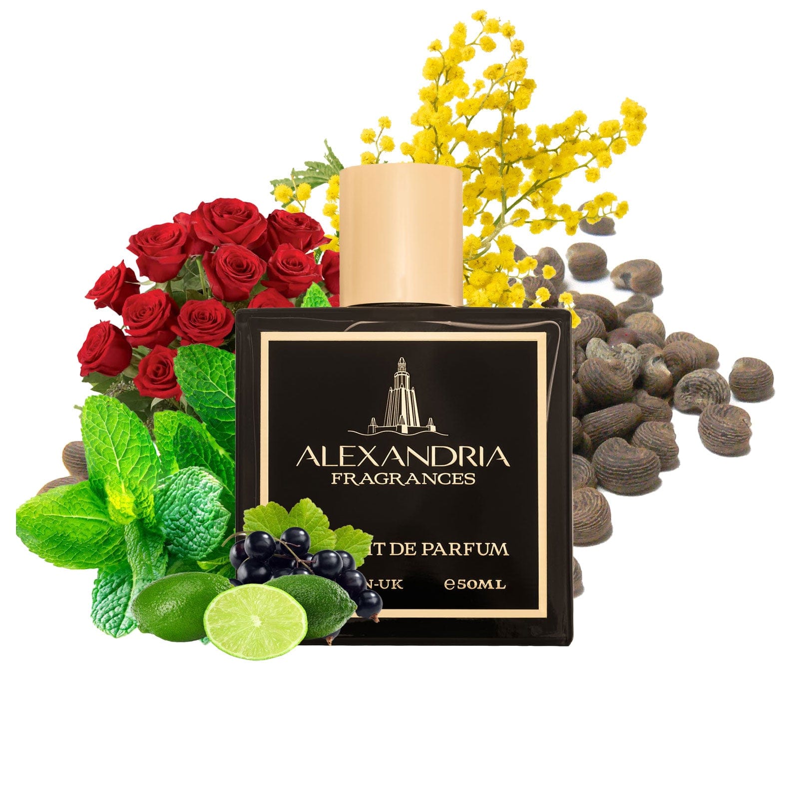 AlexandriaUK 30ml Deep Blue Inspired By MFK Aqua Celestia | Dupe | Clone | Alternative | Luxury | Quality | Copy Extrait de Parfum best dupe perfume