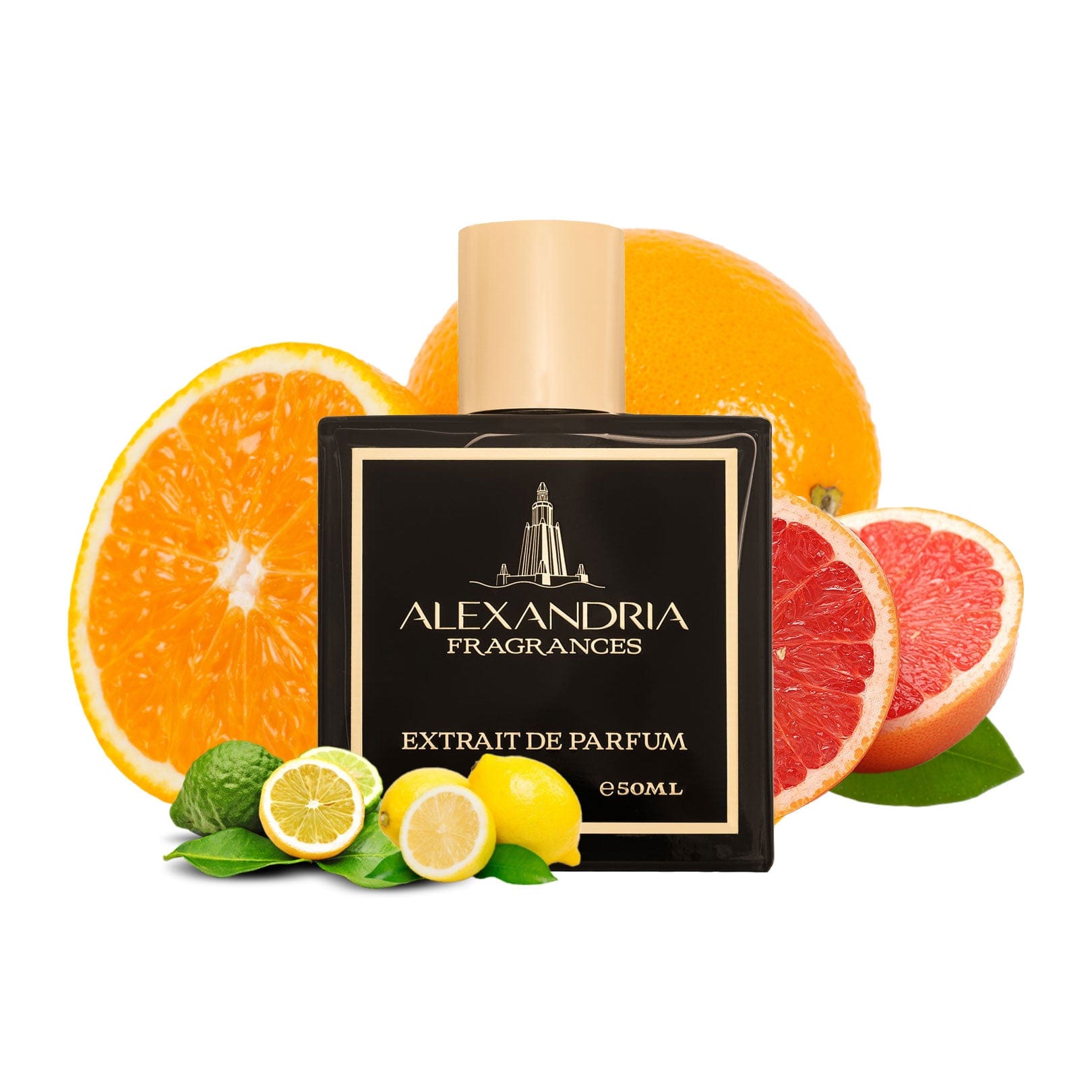 AlexandriaUK 30ml Isola D’Santorini Inspired By Isola Blu by Roja Dove | Dupe | Clone | Alternative | Luxury | Quality | Copy Extrait de Parfum best dupe perfume