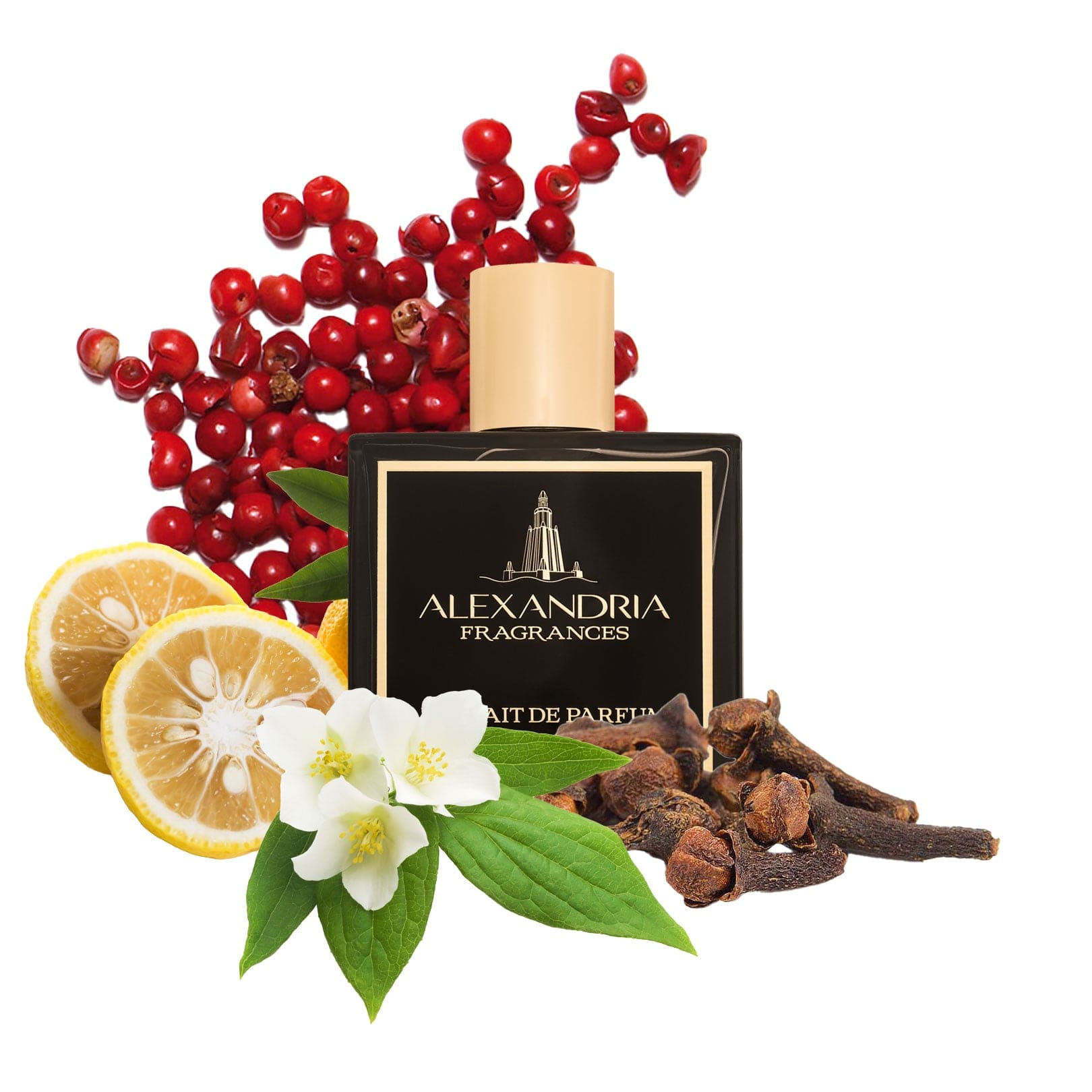 AlexandriaUK 30ml Love on the Beach Inspired By On The Beach LV | Dupe | Clone | Alternative | Luxury | Quality | Copy Extrait de Parfum best dupe perfume