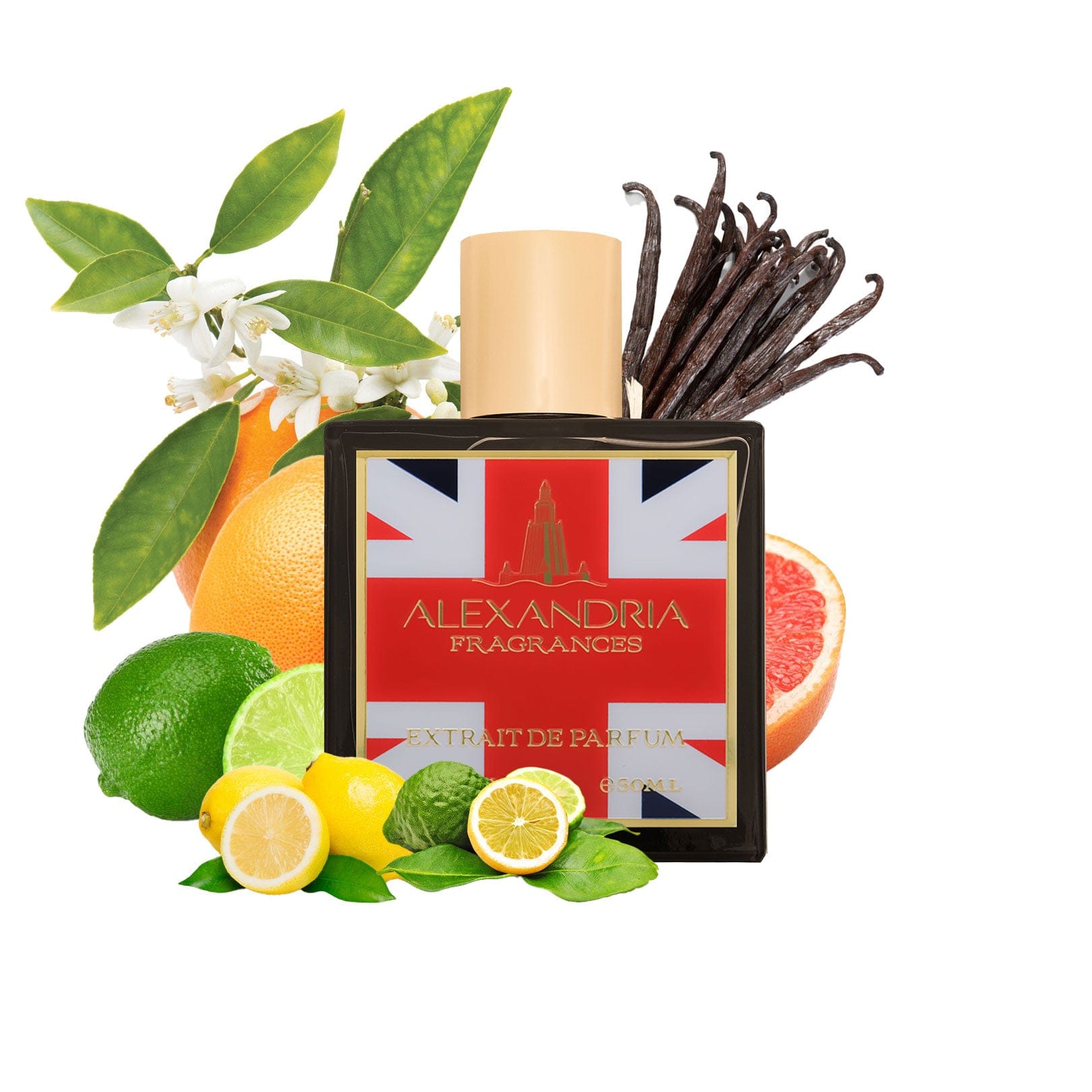 AlexandriaUK 30ml Nobility Inspired By Oligarch Roja Parfums (UK Exclusive) | Dupe | Clone | Alternative | Luxury | Quality | Copy Extrait de Parfum best dupe perfume