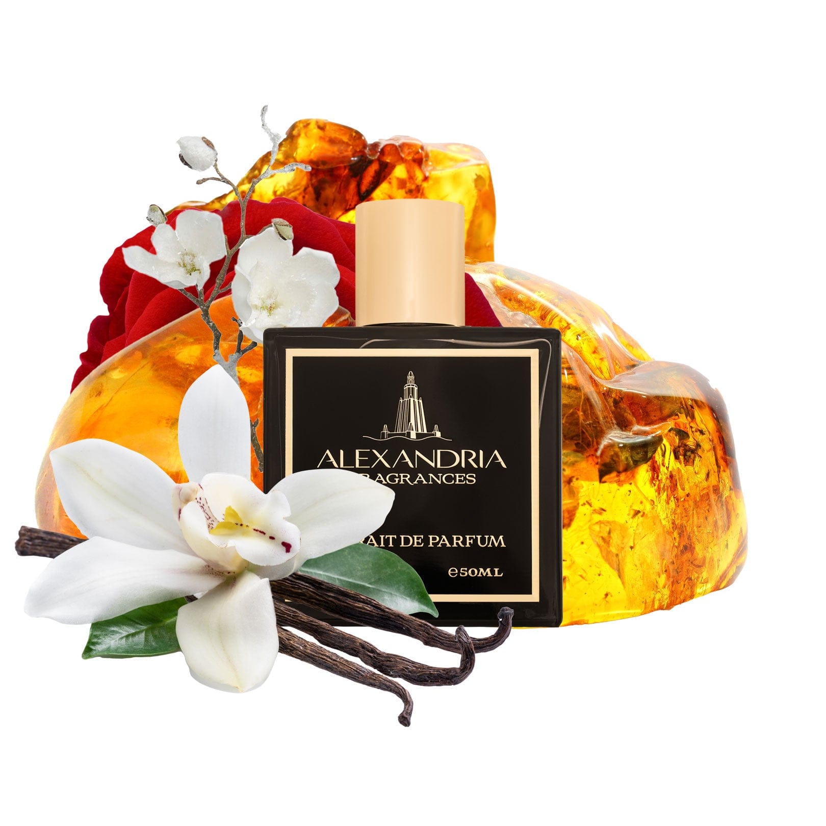 AlexandriaUK 30ml Redondo Beach #05 Inspired By Rosendo Mateu No 5 | Dupe | Clone | Alternative | Luxury | Quality | Copy Extrait de Parfum best dupe perfume