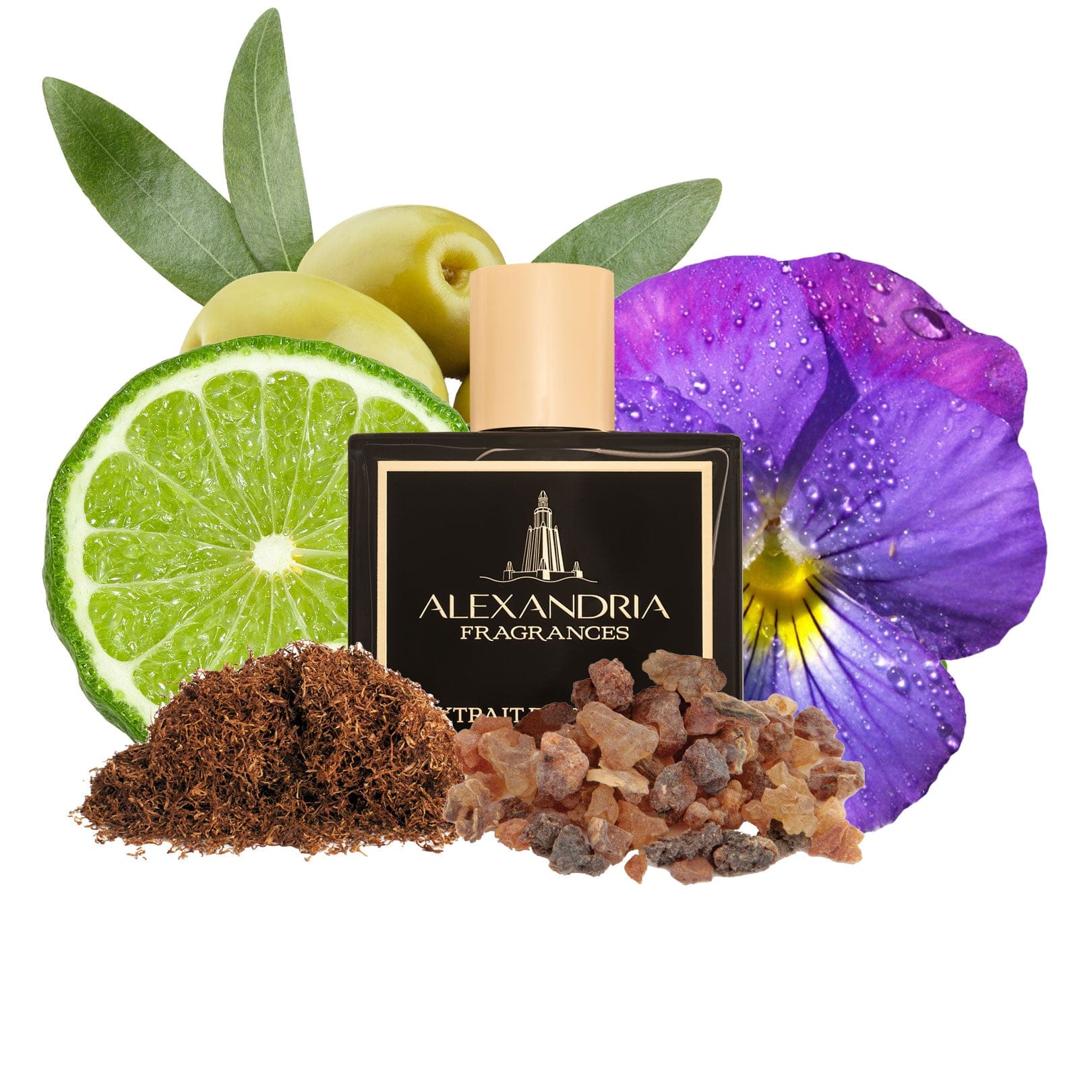 AlexandriaUK 30ml The Pour Homme II Inspired By Gucci Pour Homme II  | Dupe | Clone | Alternative | Luxury | Quality | Copy Extrait de Parfum best dupe perfume