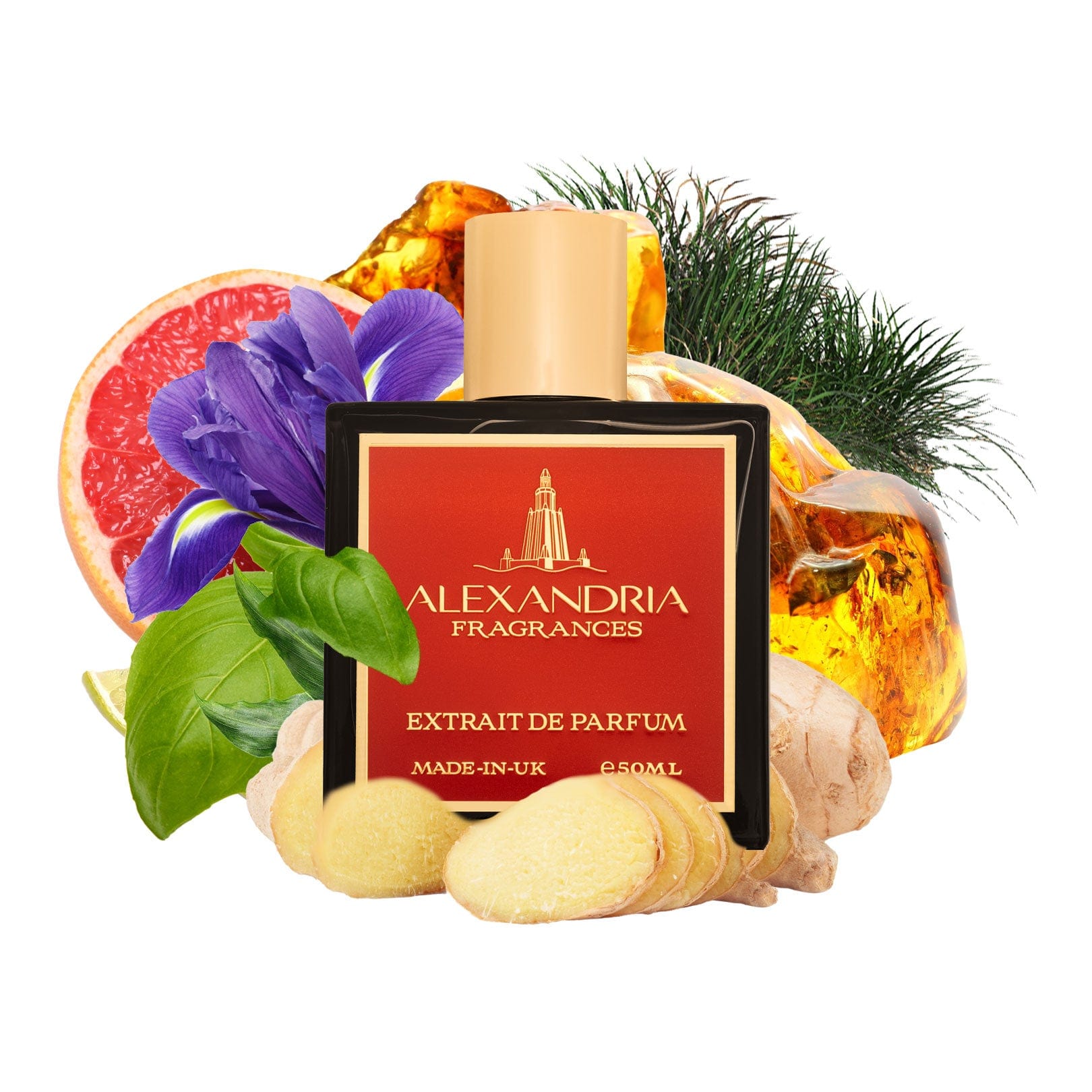 AlexandriaUK 30ml Work Hard Stay Humble Original Creation best dupe perfume