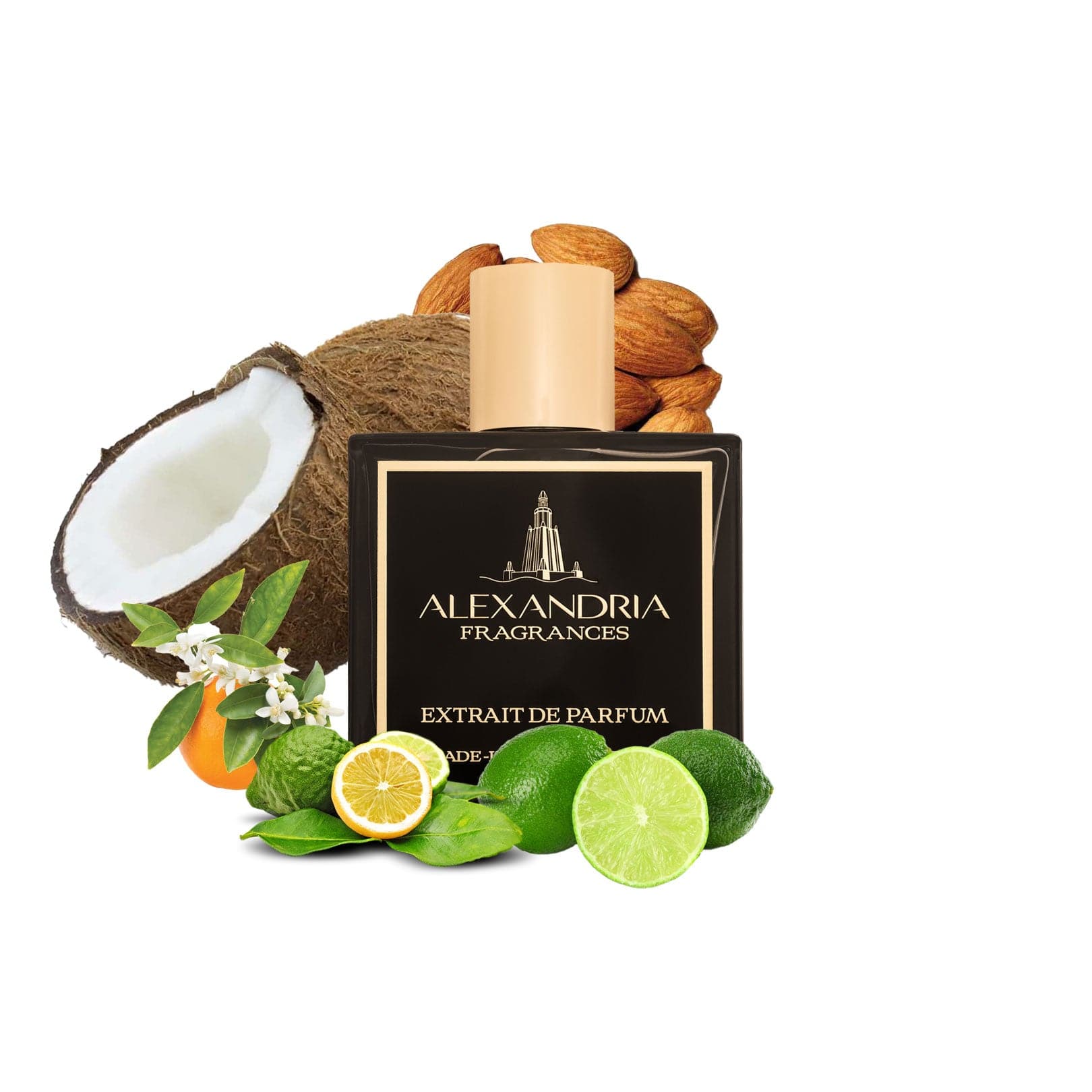 AlexandriaUK 5ml Hawaii Volcano | Dupe | Clone | Alternative | Luxury | Quality | Copy Extrait de Parfum best dupe perfume
